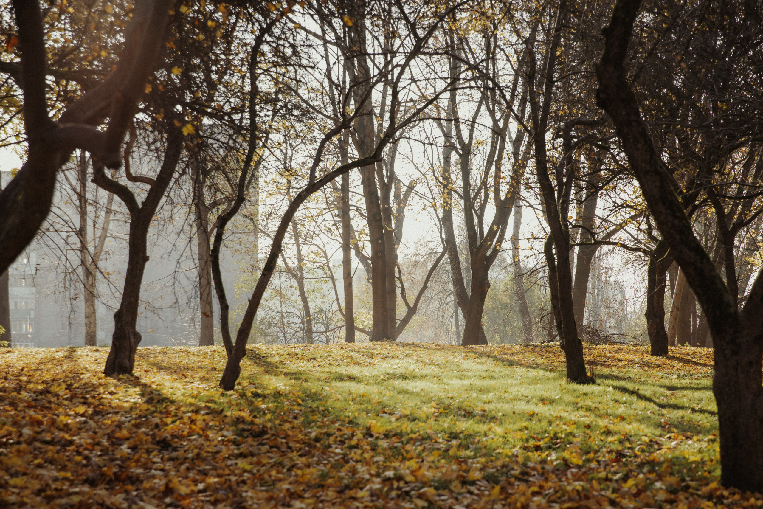 Фотограф Калининград Илья Миллер