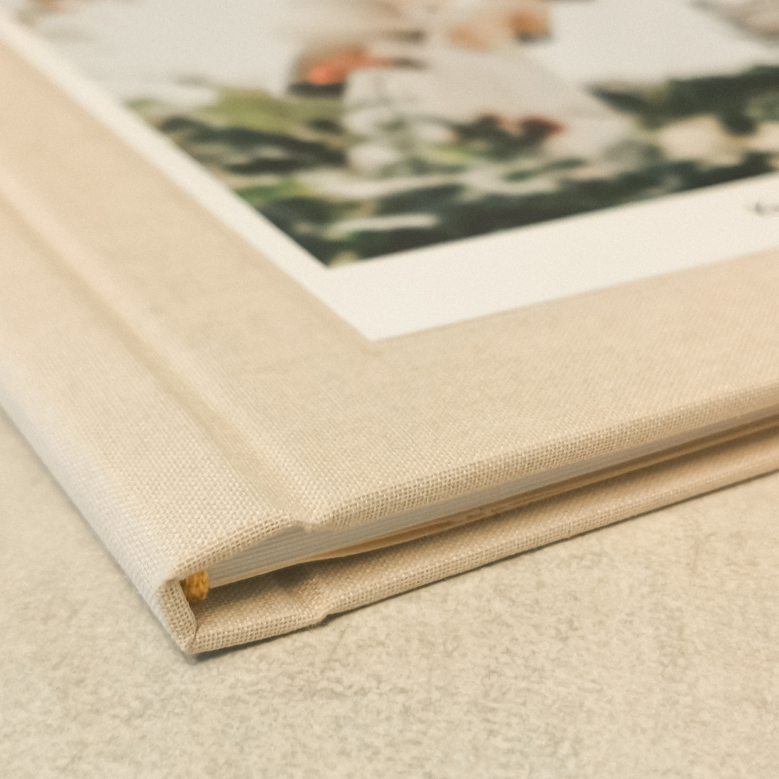 Кинооператор и фотограф в Москве и Санкт-Петербурге Никита Кондрахин