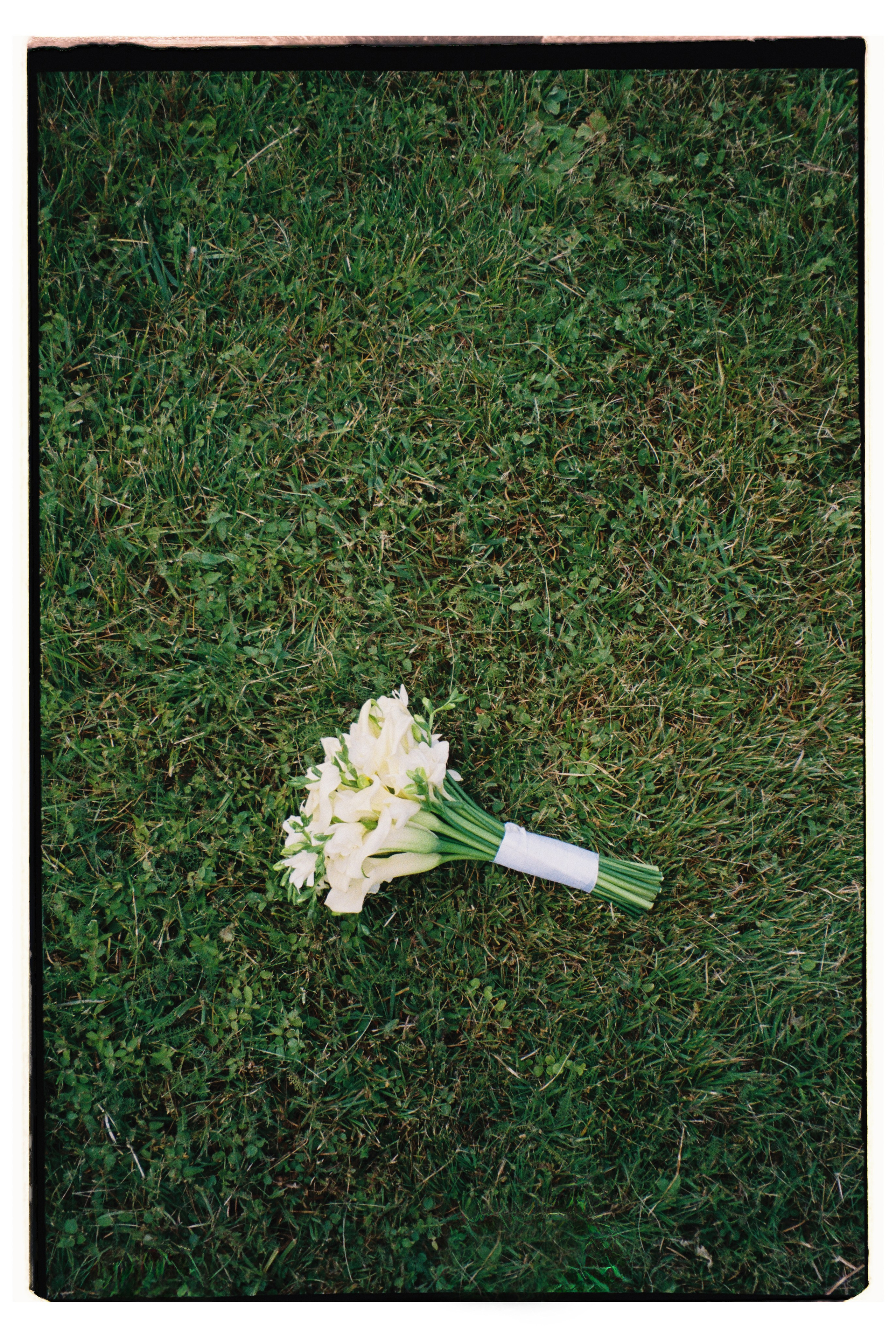 Плёнка. Свадебный фотограф в Москве и по всему миру