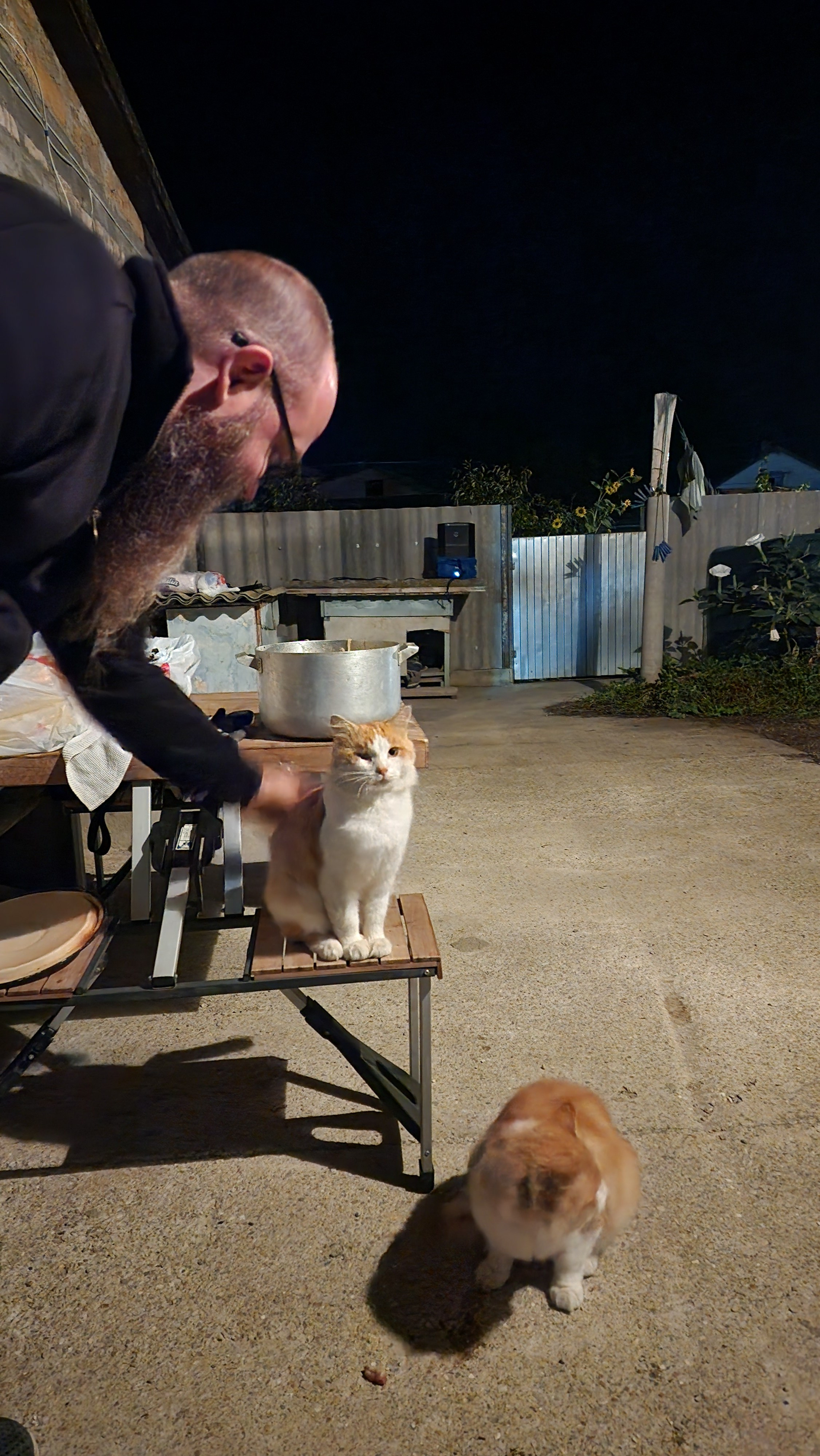 Приморское и Феодосия (2024-09-24). Собор Отрасли