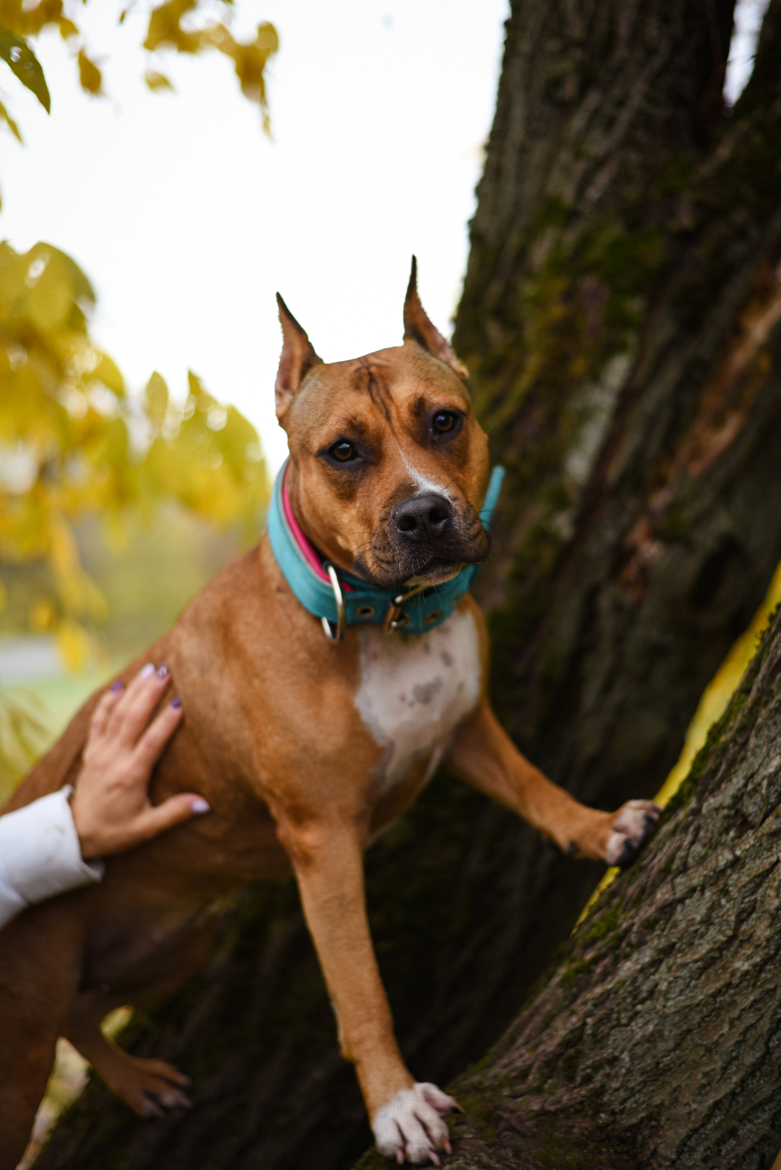 Домашняя съемка. Женский и семейный фотограф Людмила Богачкина
