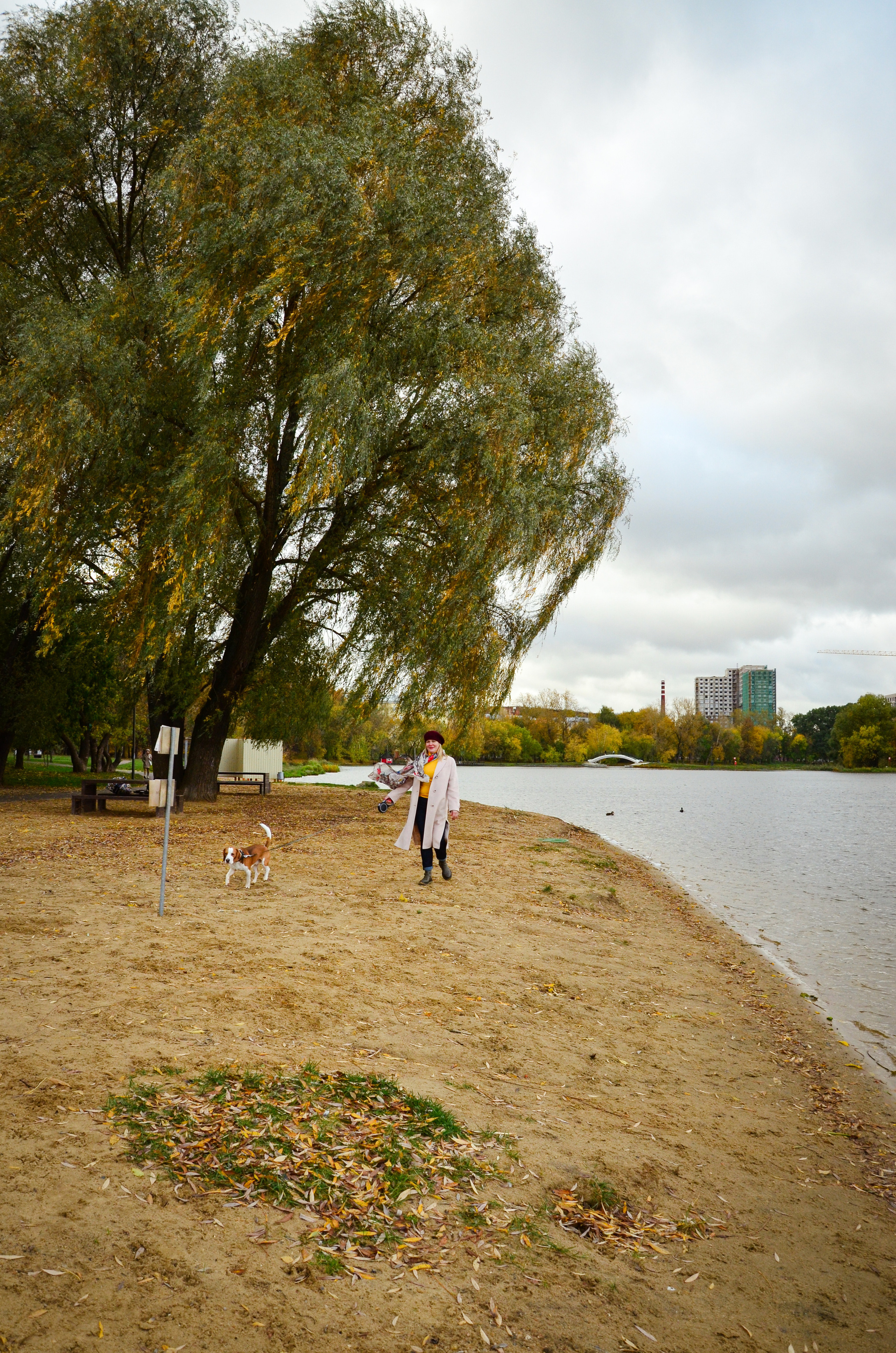 Фотопрогулка с животными в парке. Женский и семейный фотограф Людмила Богачкина