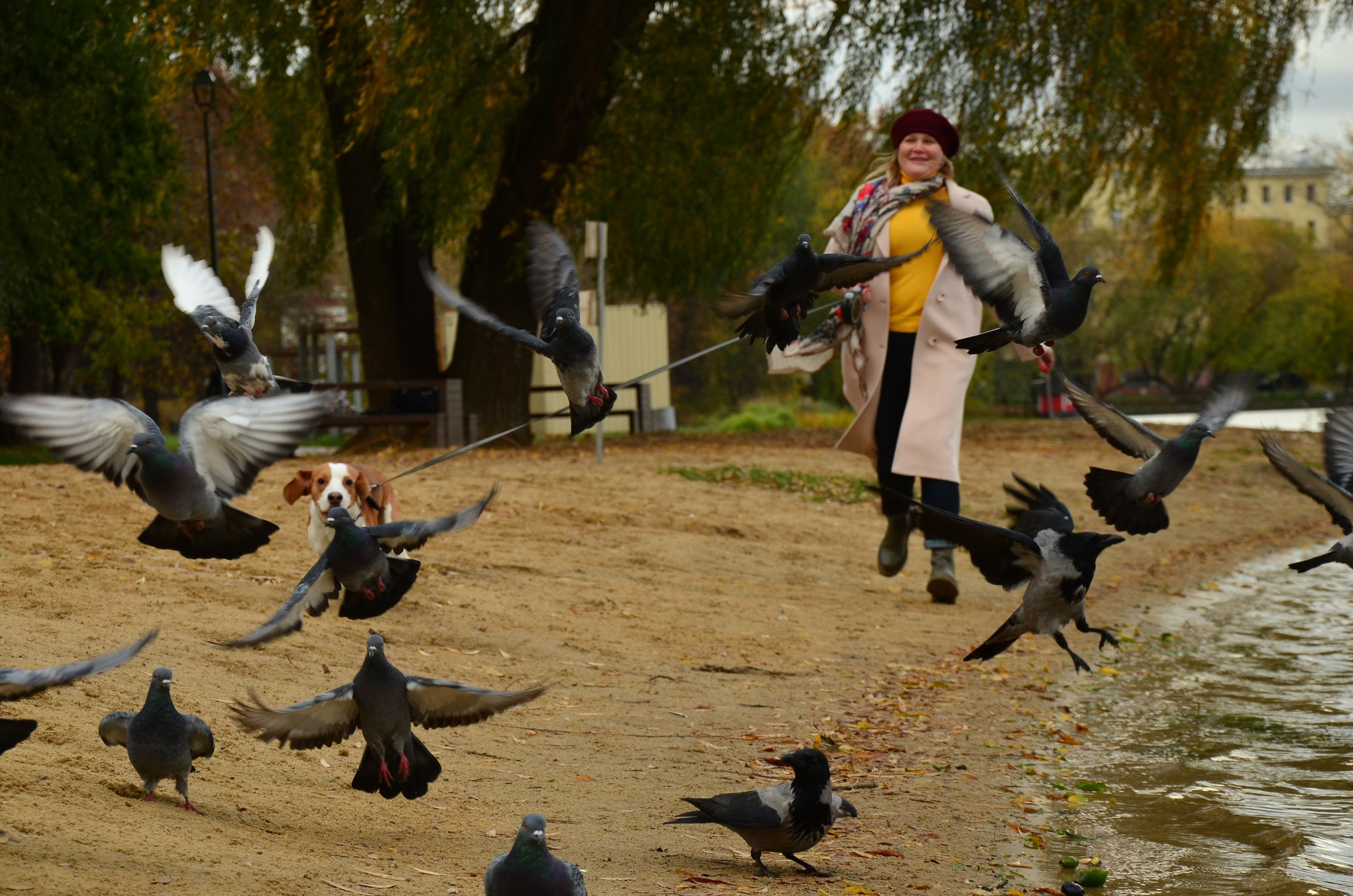 Фотопрогулка с животными в парке. Женский и семейный фотограф Людмила Богачкина