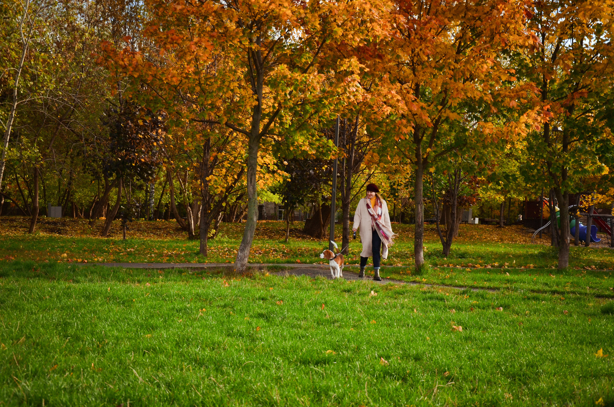 Фотопрогулка с животными в парке. Женский и семейный фотограф Людмила Богачкина