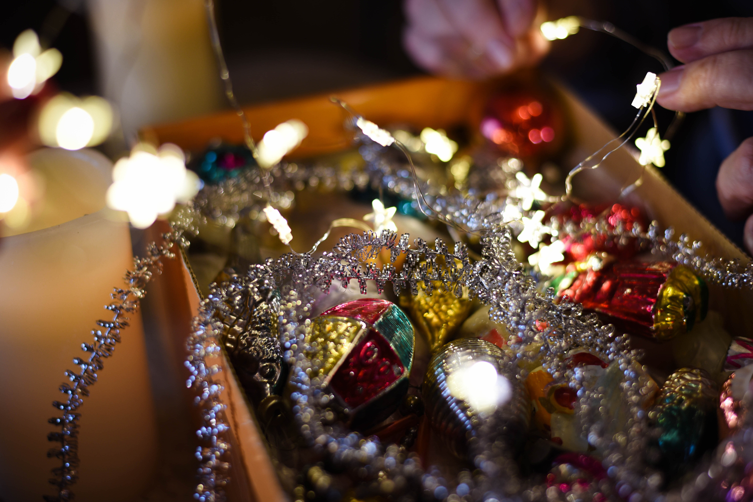 Семейная домашняя съемка. Внук с бабушкой и дедушкой. Предновогодняя история. Женский и семейный фотограф Людмила Богачкина