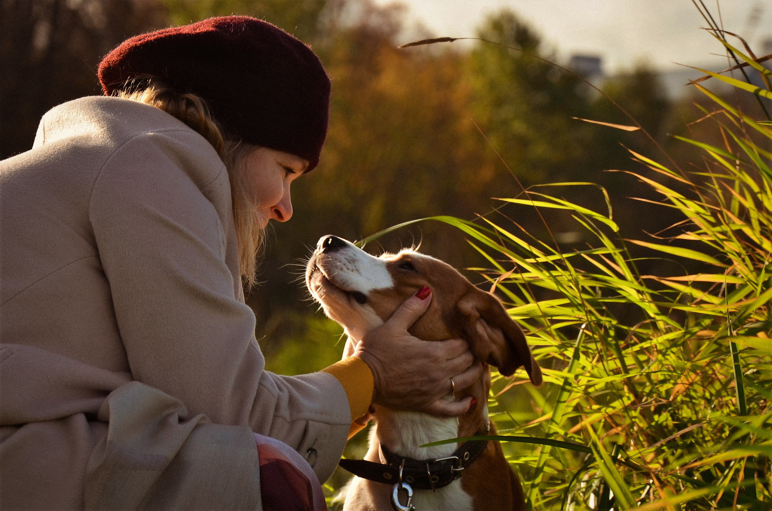Фотопрогулка с животными в парке. Женский и семейный фотограф Людмила Богачкина