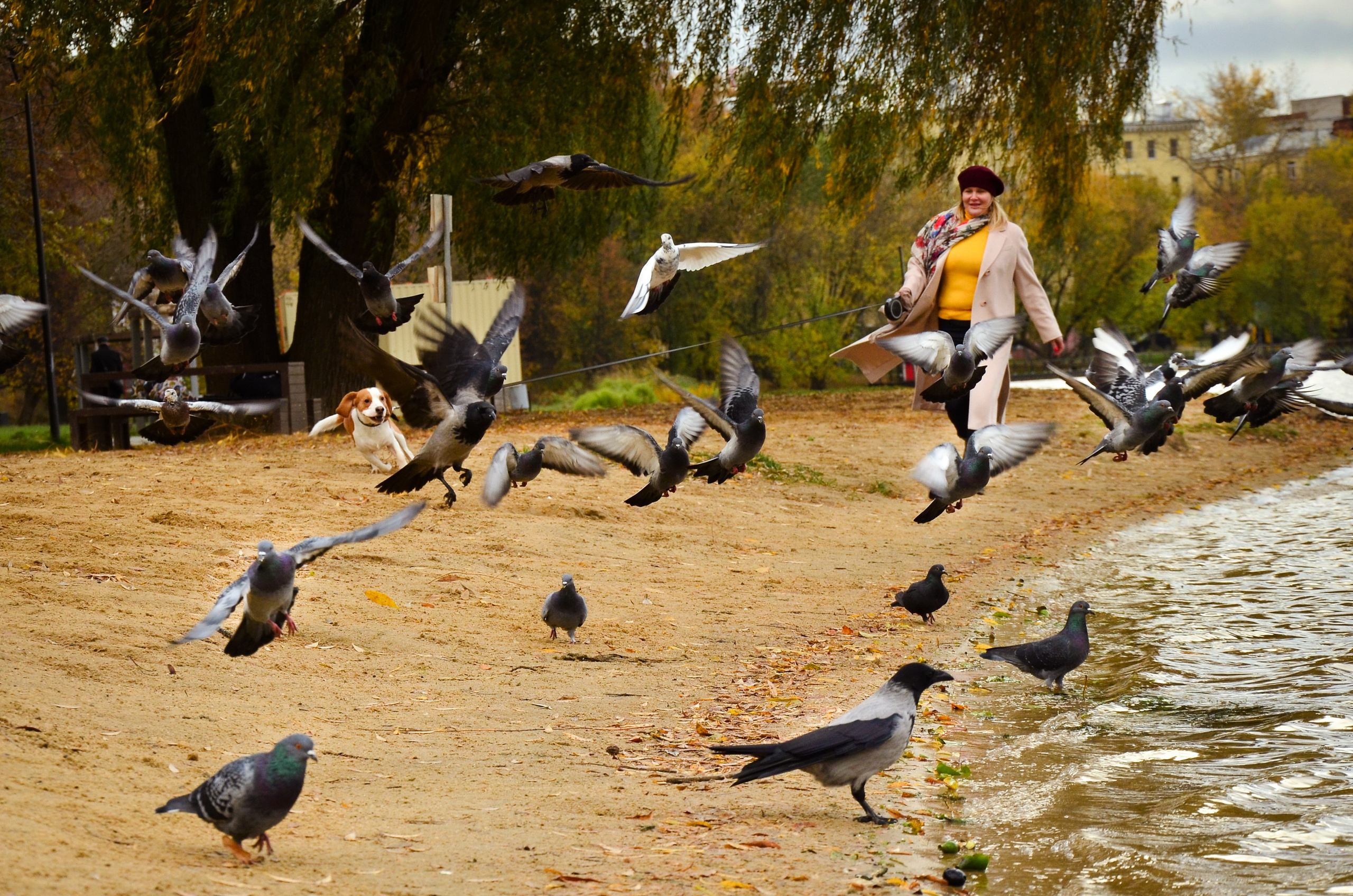 Фотопрогулка с животными в парке. Женский и семейный фотограф Людмила Богачкина