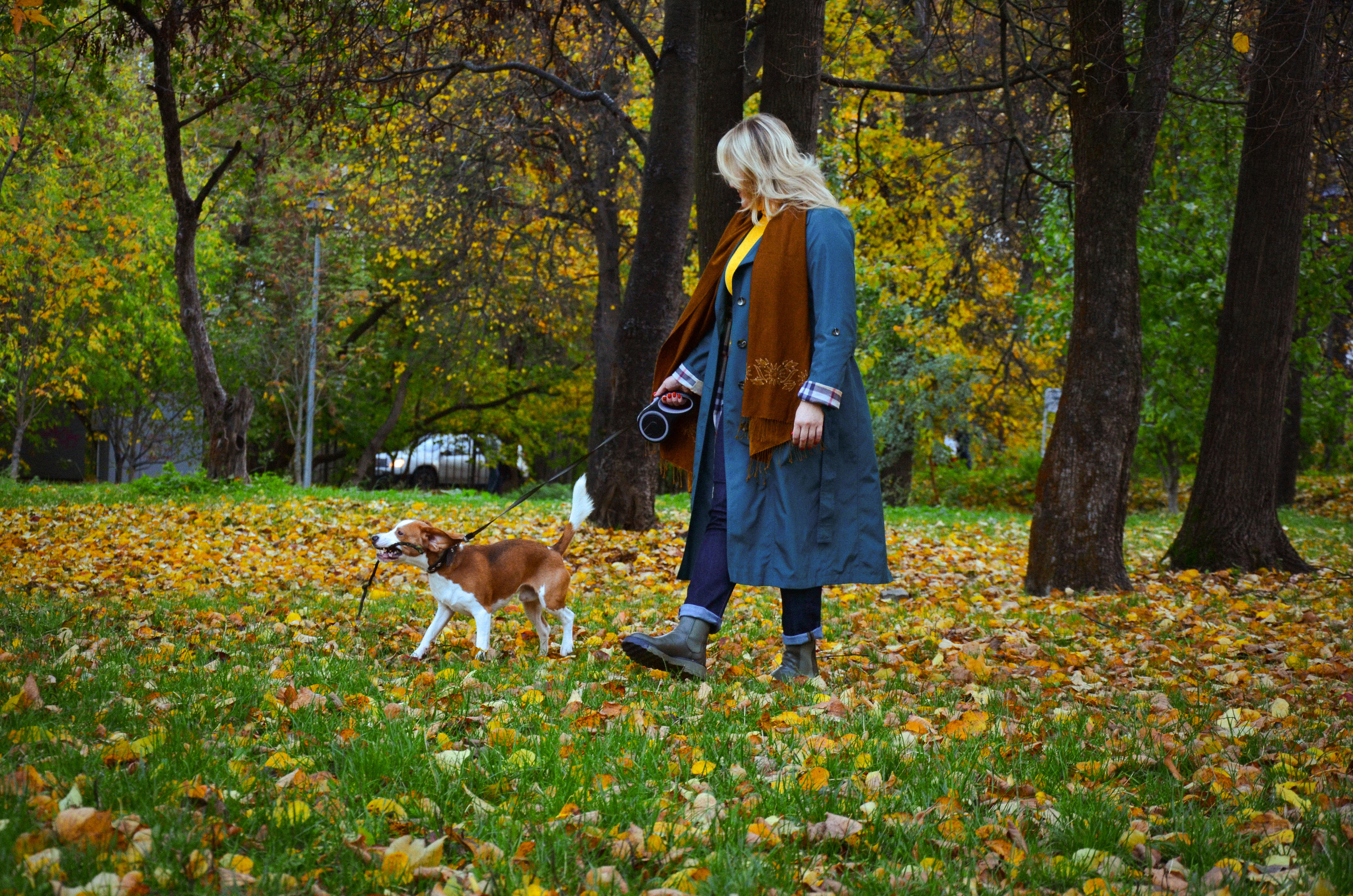 Фотопрогулка с животными в парке. Женский и семейный фотограф Людмила Богачкина