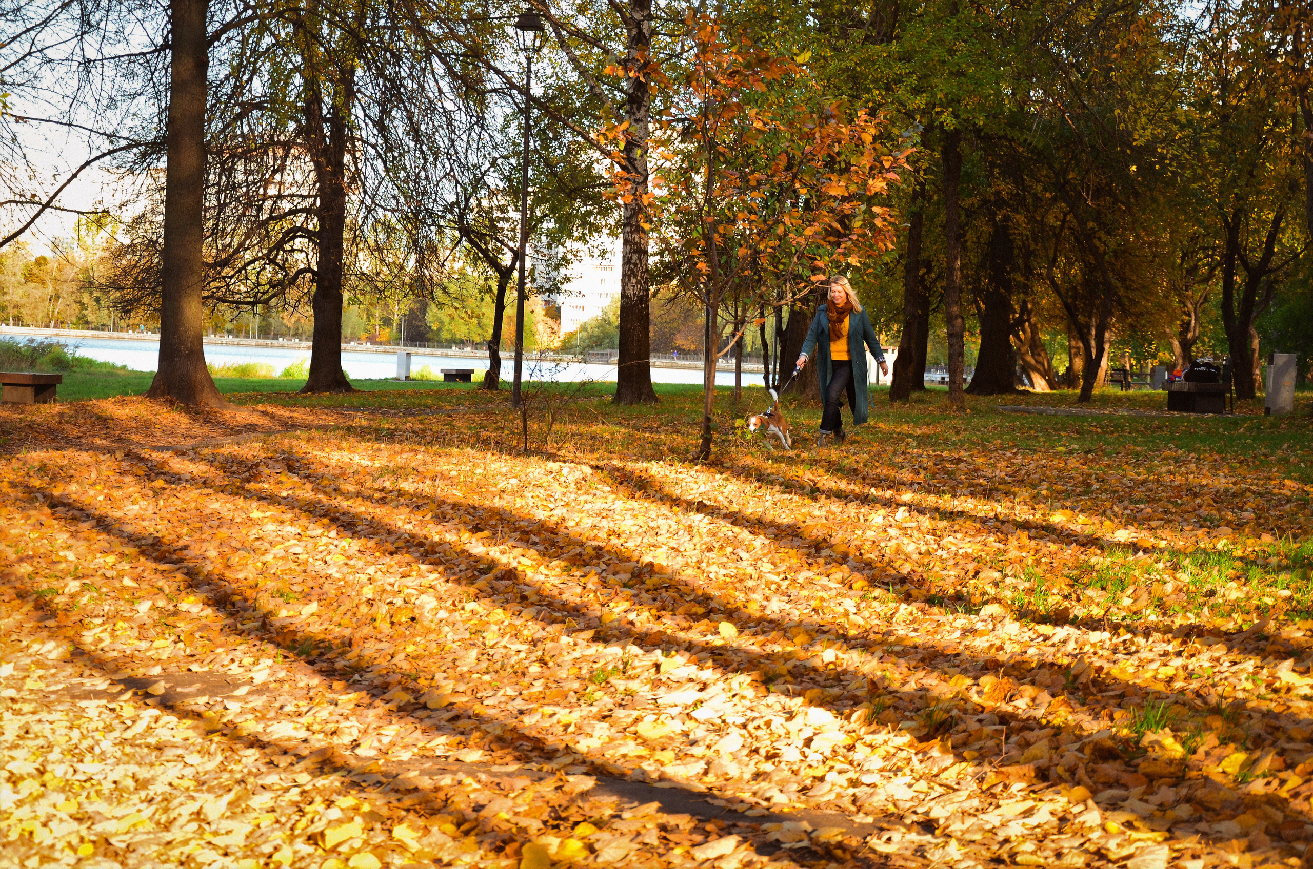 Фотопрогулка с животными в парке. Женский и семейный фотограф Людмила Богачкина