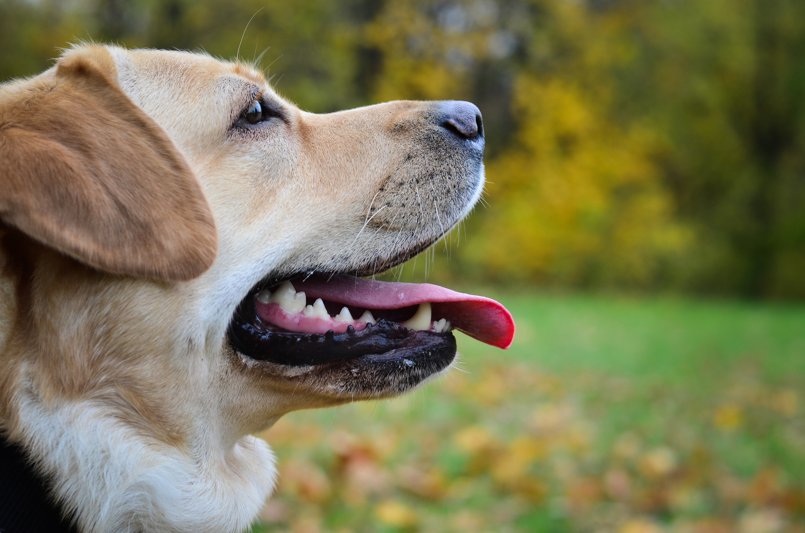 Домашняя съемка. Женский и семейный фотограф Людмила Богачкина