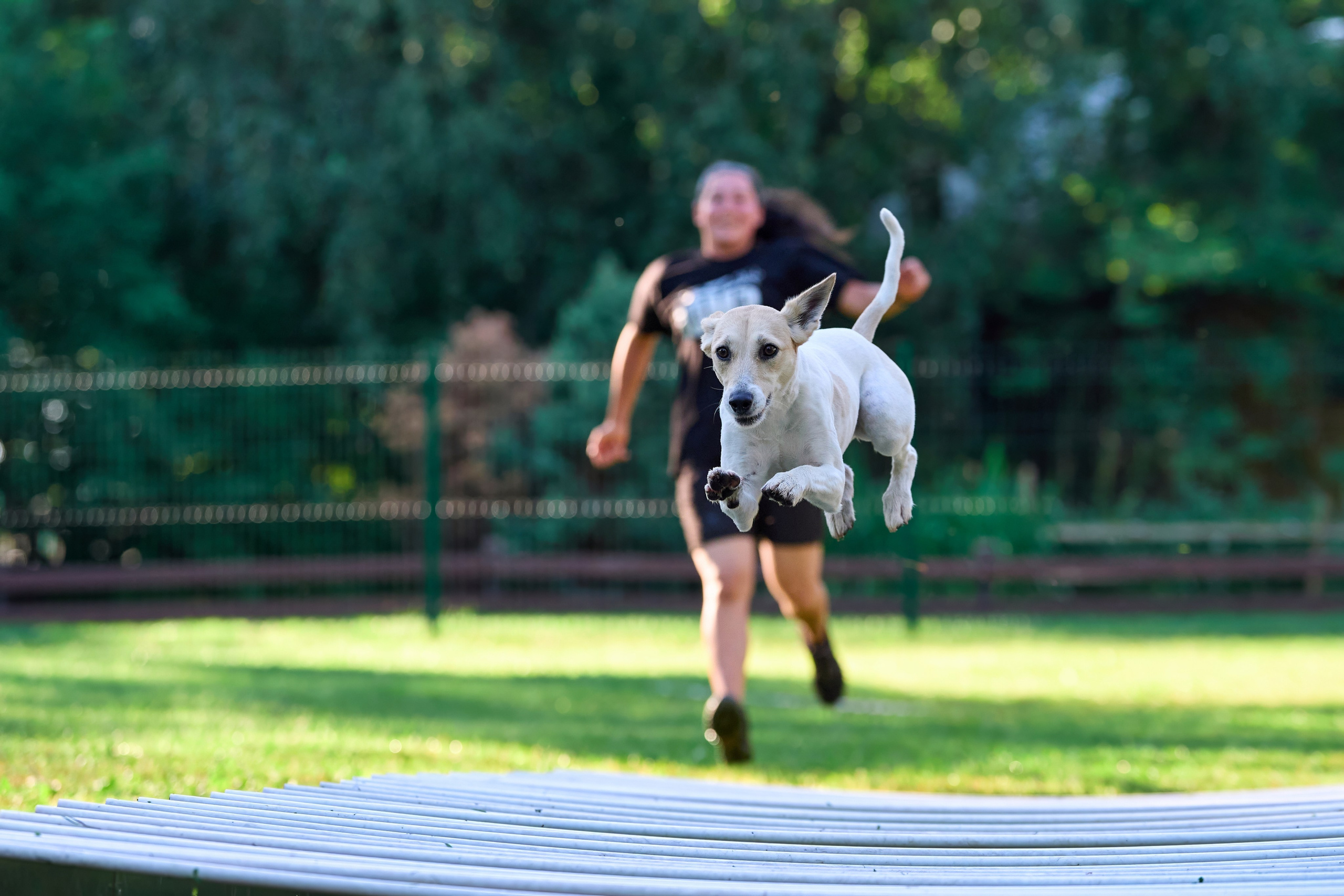 Jump'n'Gym JUMP! — 2024. Фотограф-анималист Михаил Манухин