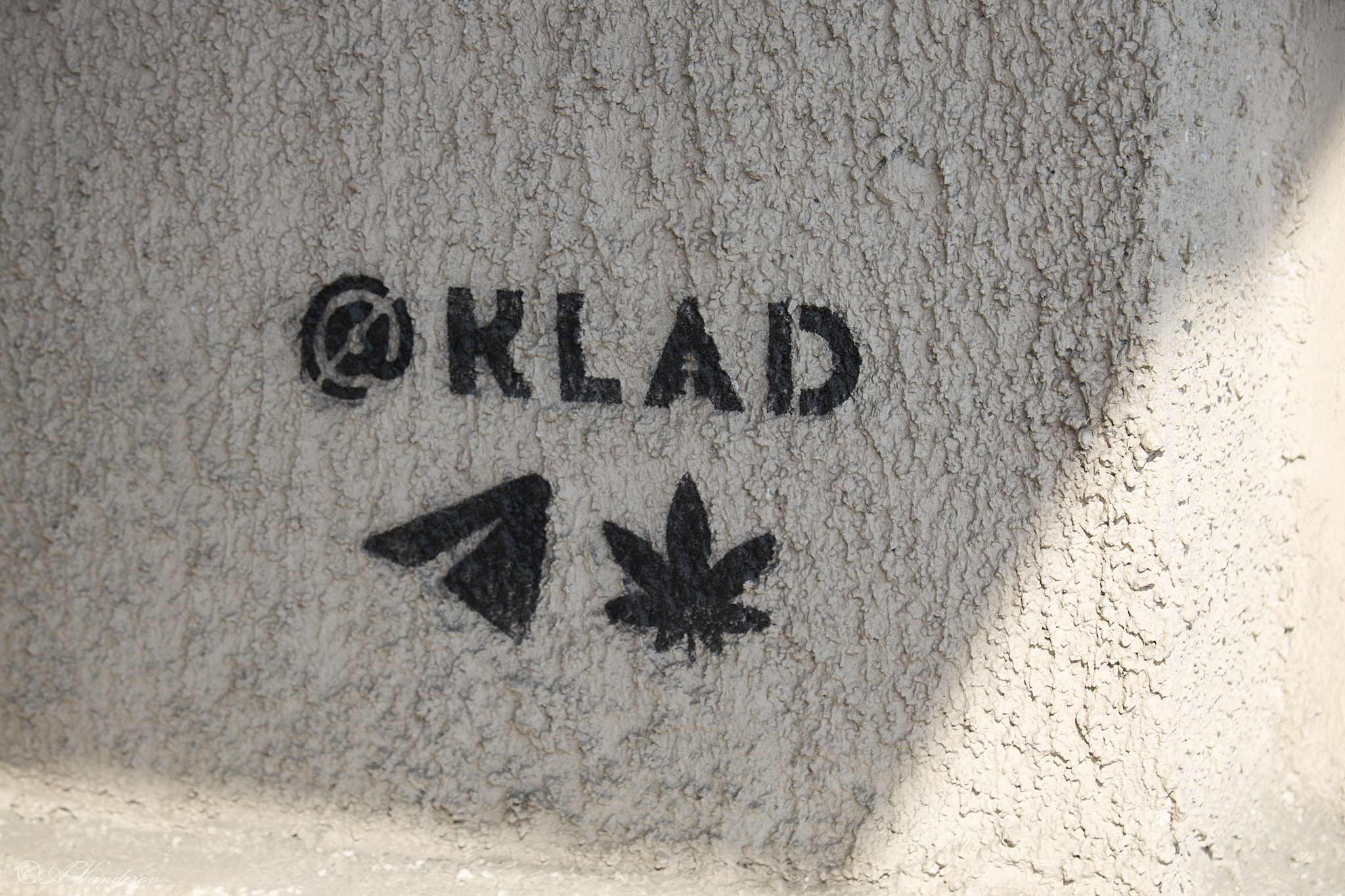 Весенняя прогулка по городу. Фотограф Омск | Александр Вандеров