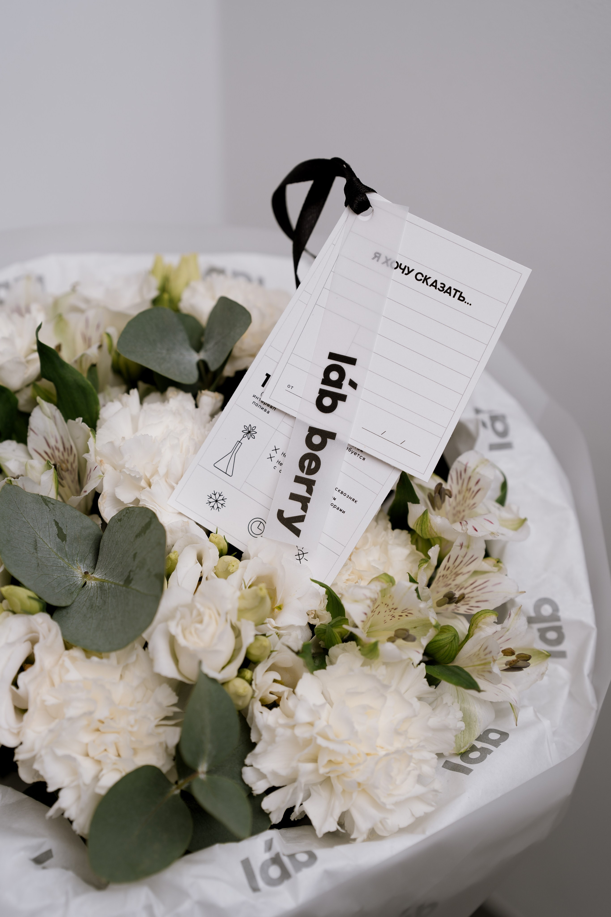 Проекты для блога и бренда. ИТВИ