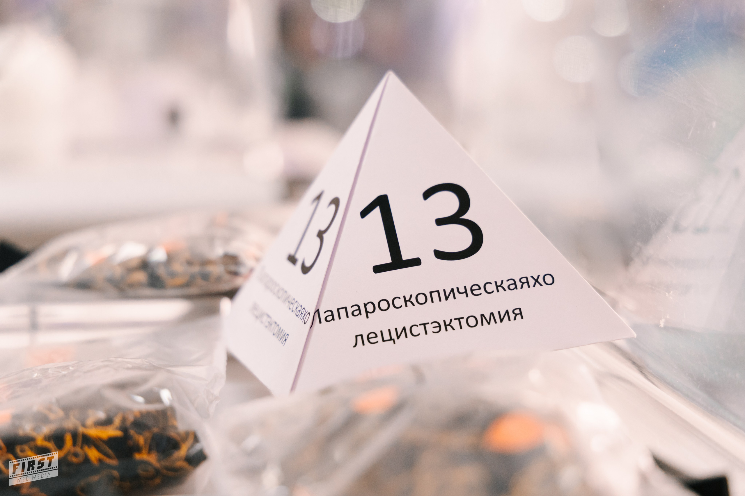 Перельман '25. Портретная и репортажная съемка в Москве — Анна Михайлюк
