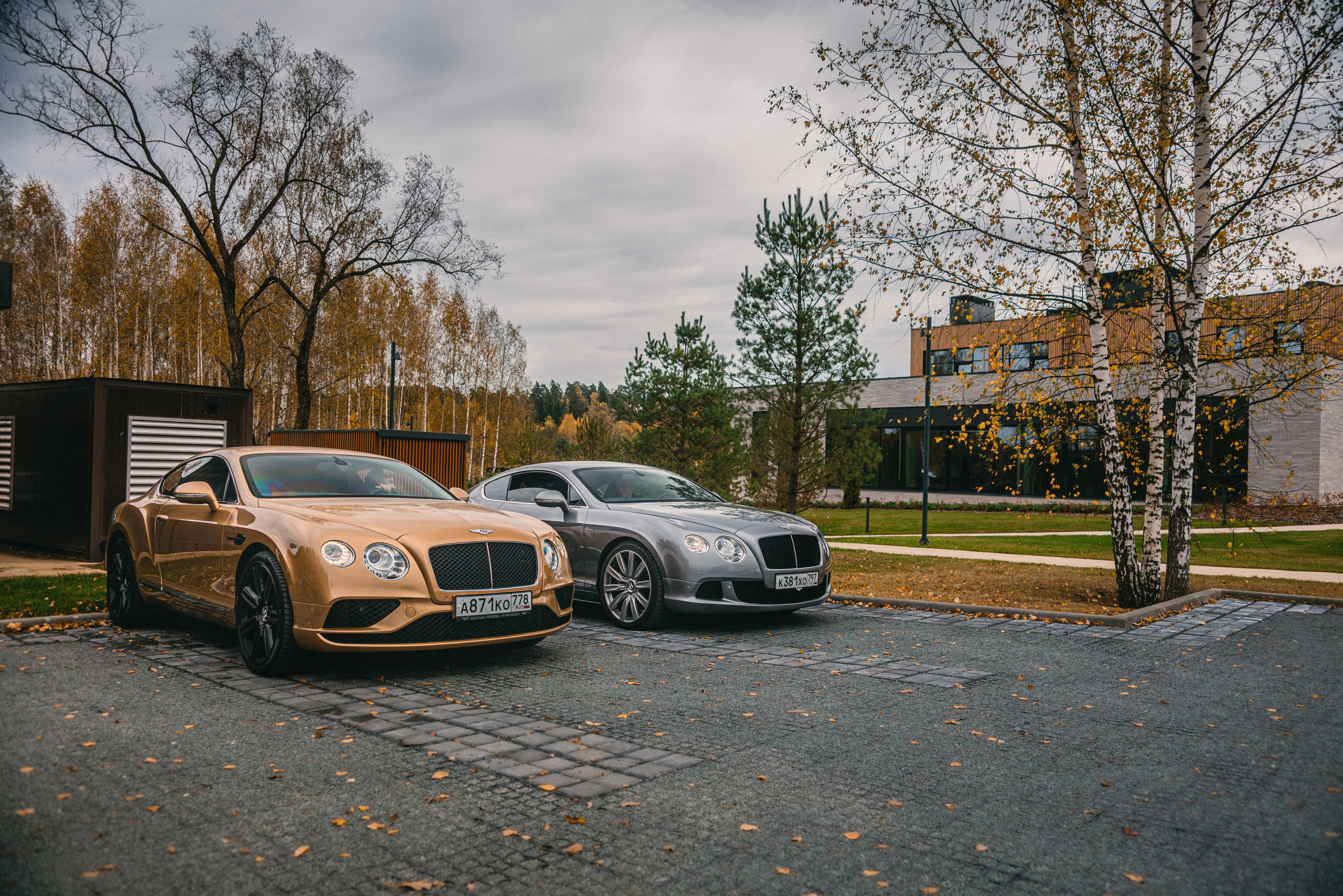 Jaguar X100 & X150. Жуков Илья свадебный фотограф в Москве