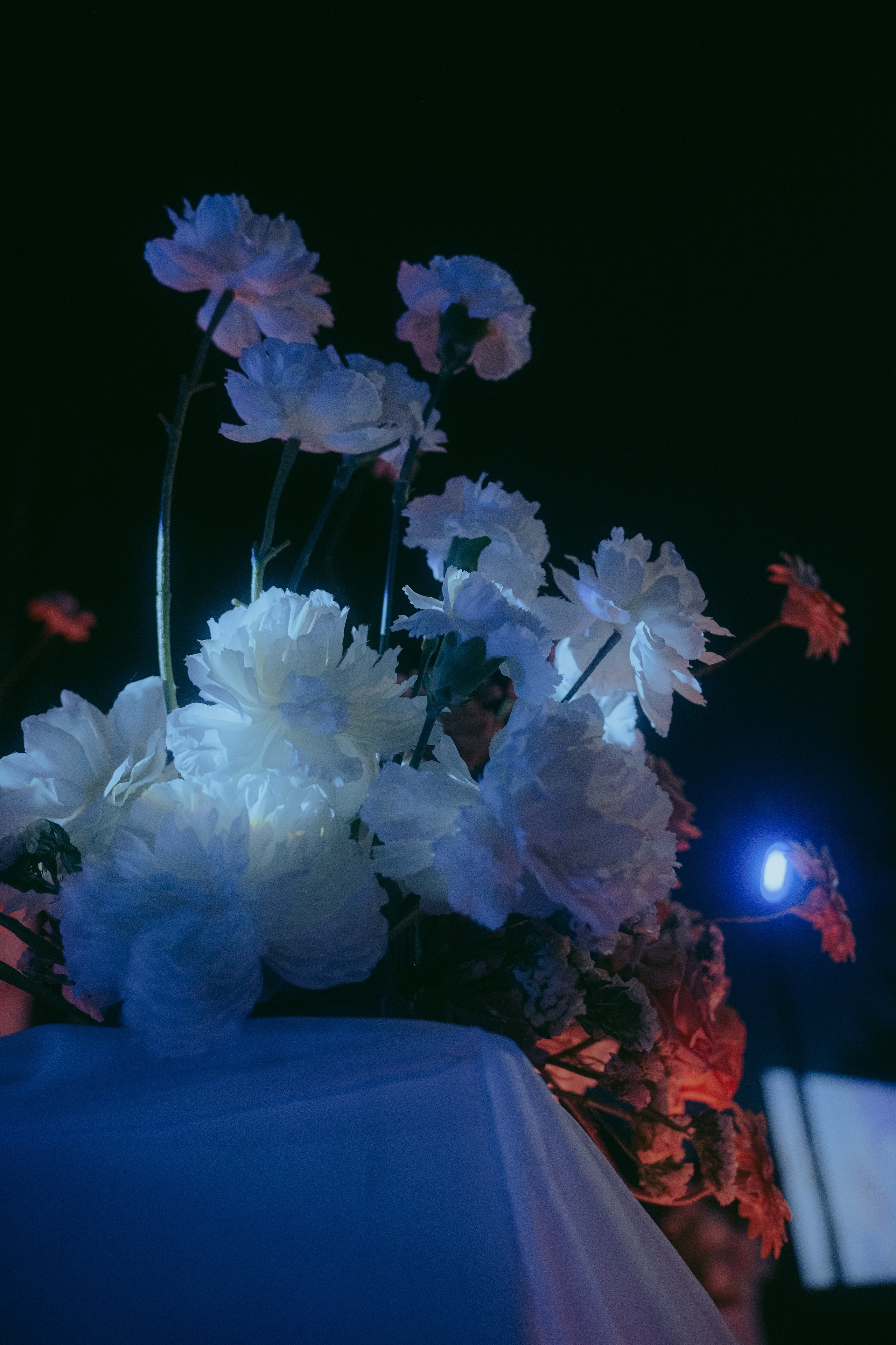 Свадьба Анастасии и Сергея. Фотограф в Москве