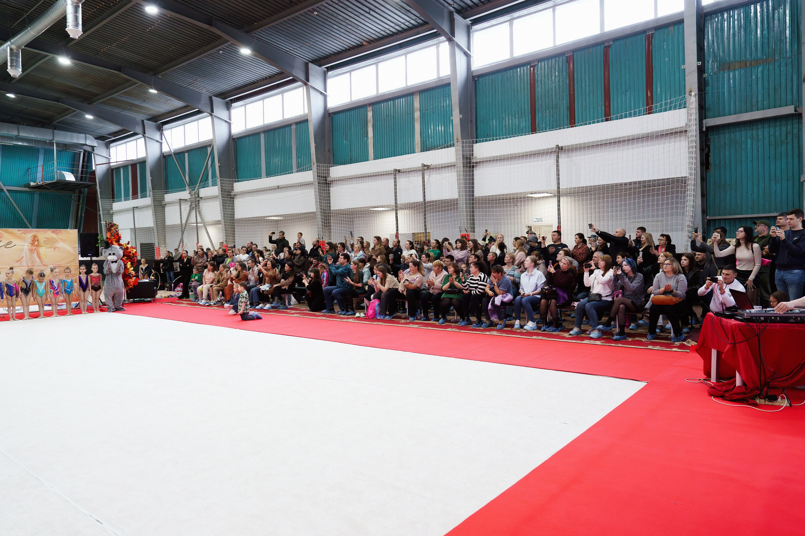 XII городские соревнования по художественной гимнастике «ДЮЙМОВОЧКА». Фотомастерская Воробьевых