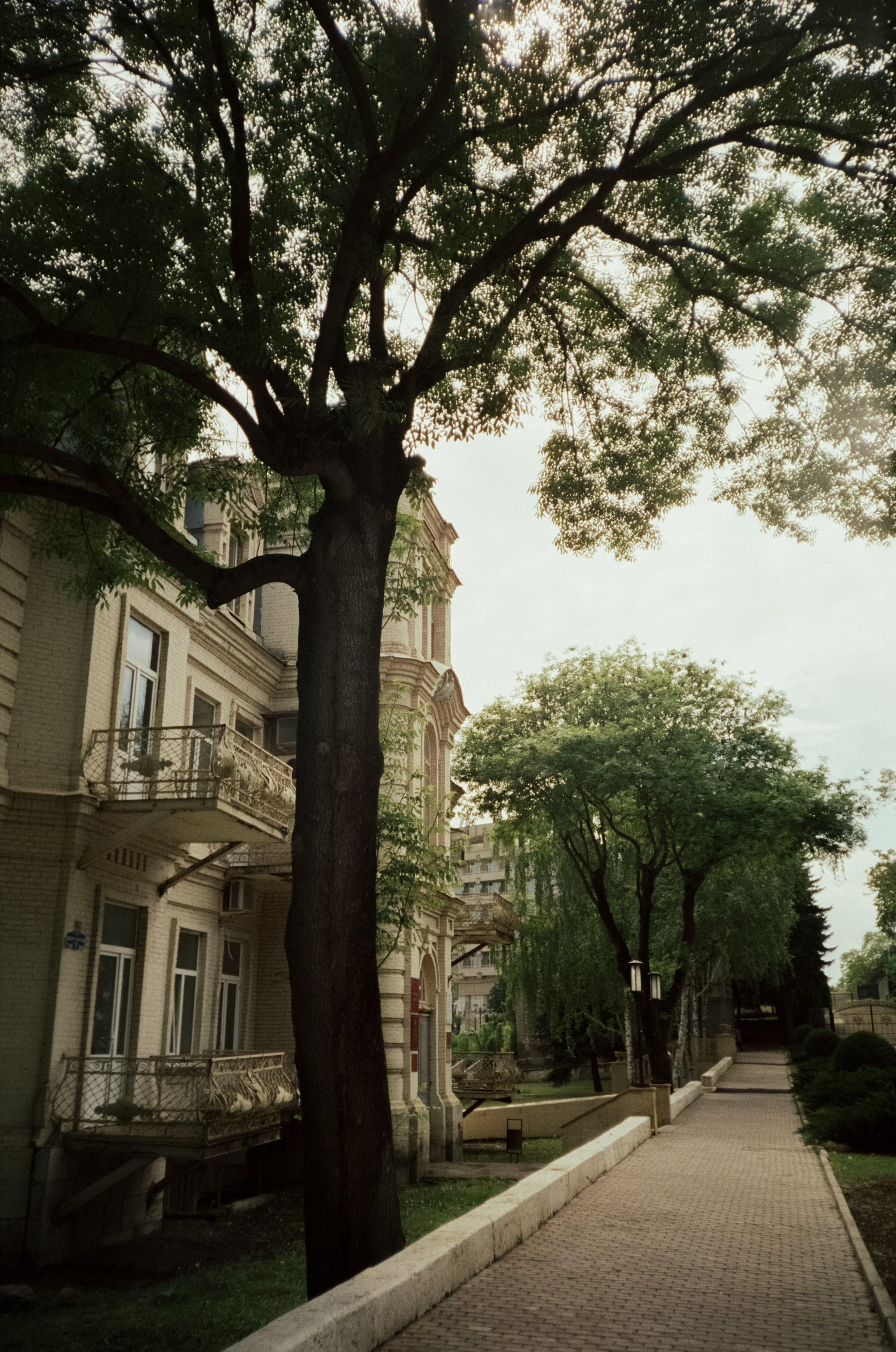 Стрит в Ессентуках. Дворики, дома и кот в окне. Фотограф-документалист Мария Осокина