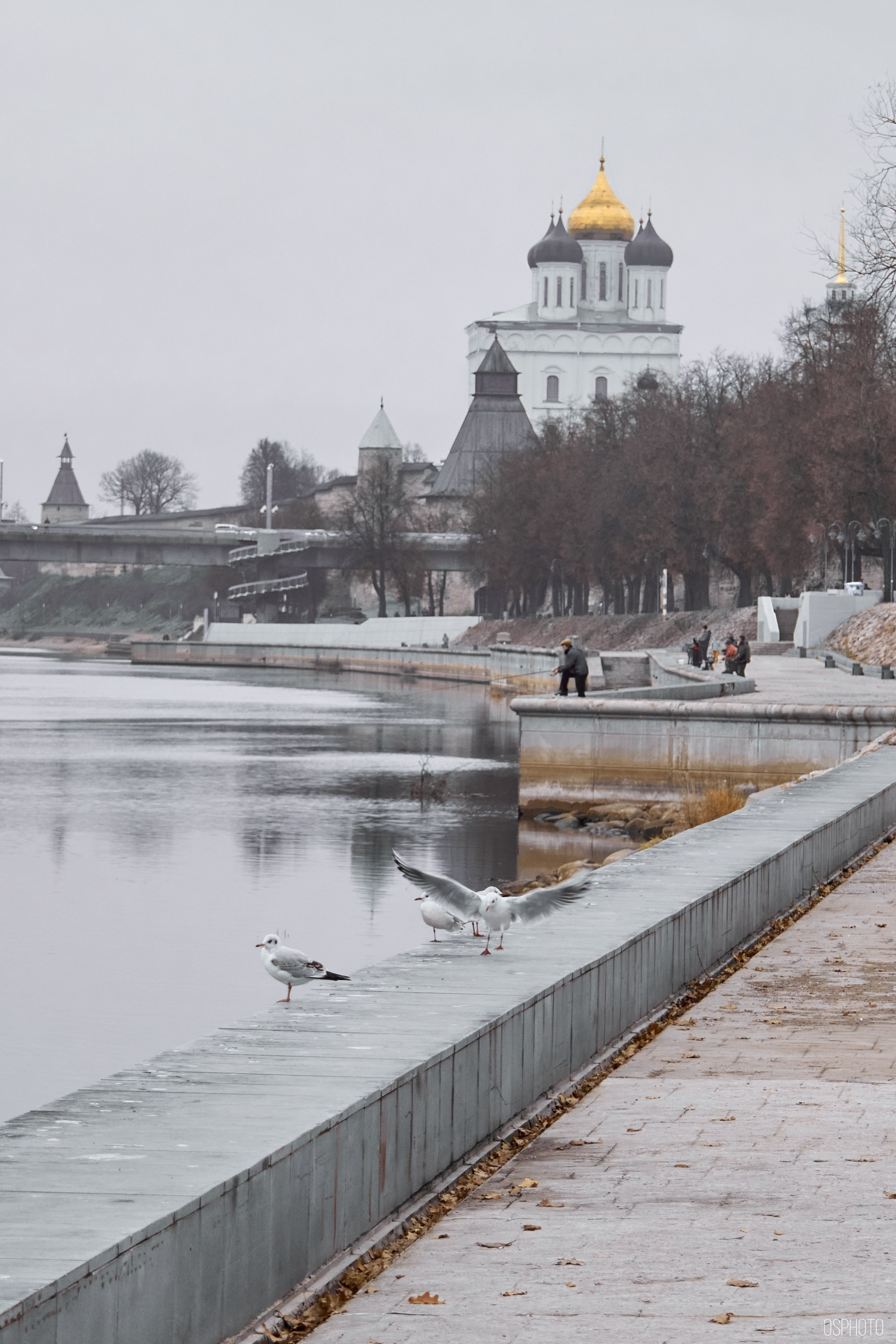 Псков. Ноябрь. Фотографъ Сергѣевъ. Поймать мгновеніе