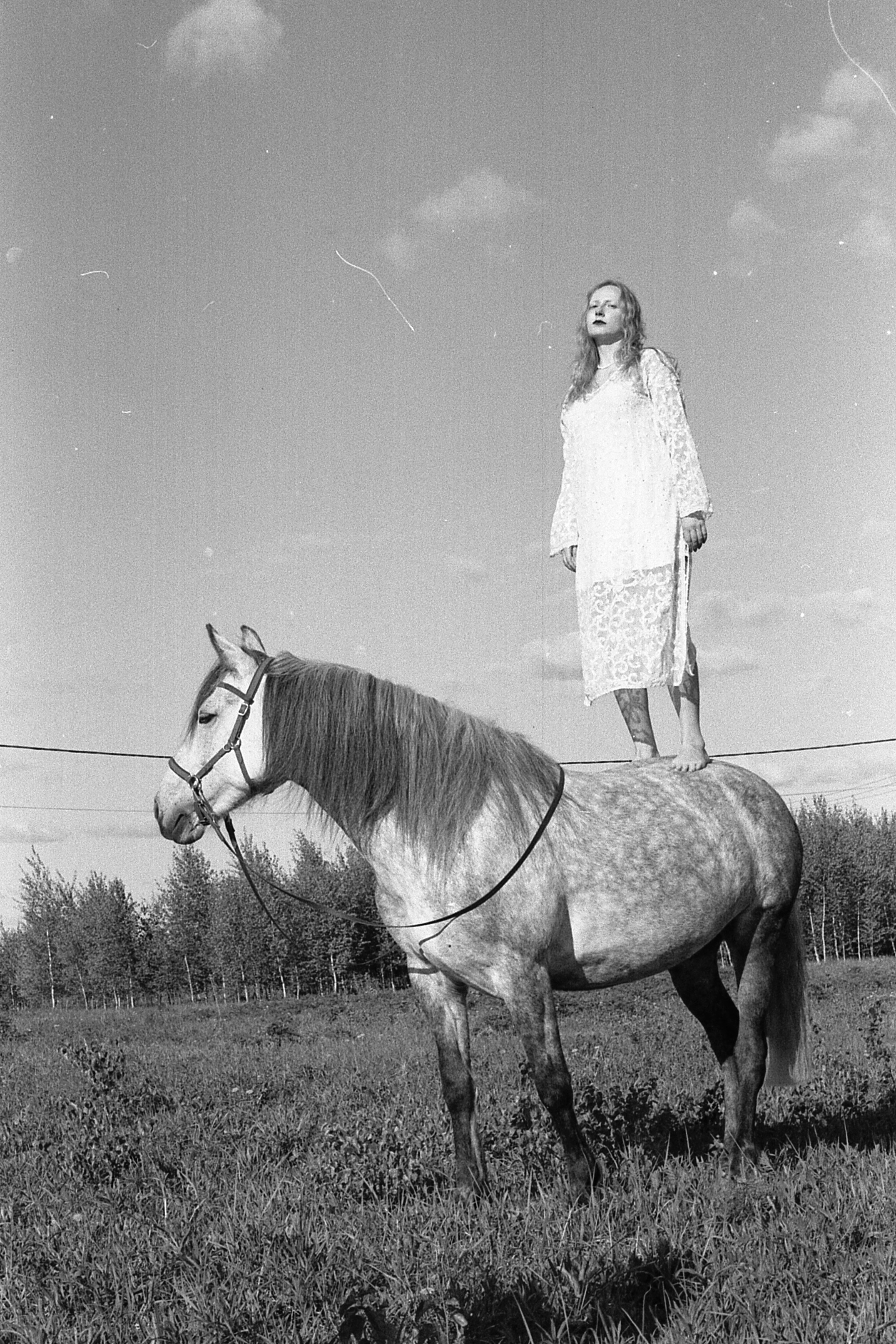 Автор: Дмитрий Лашманов