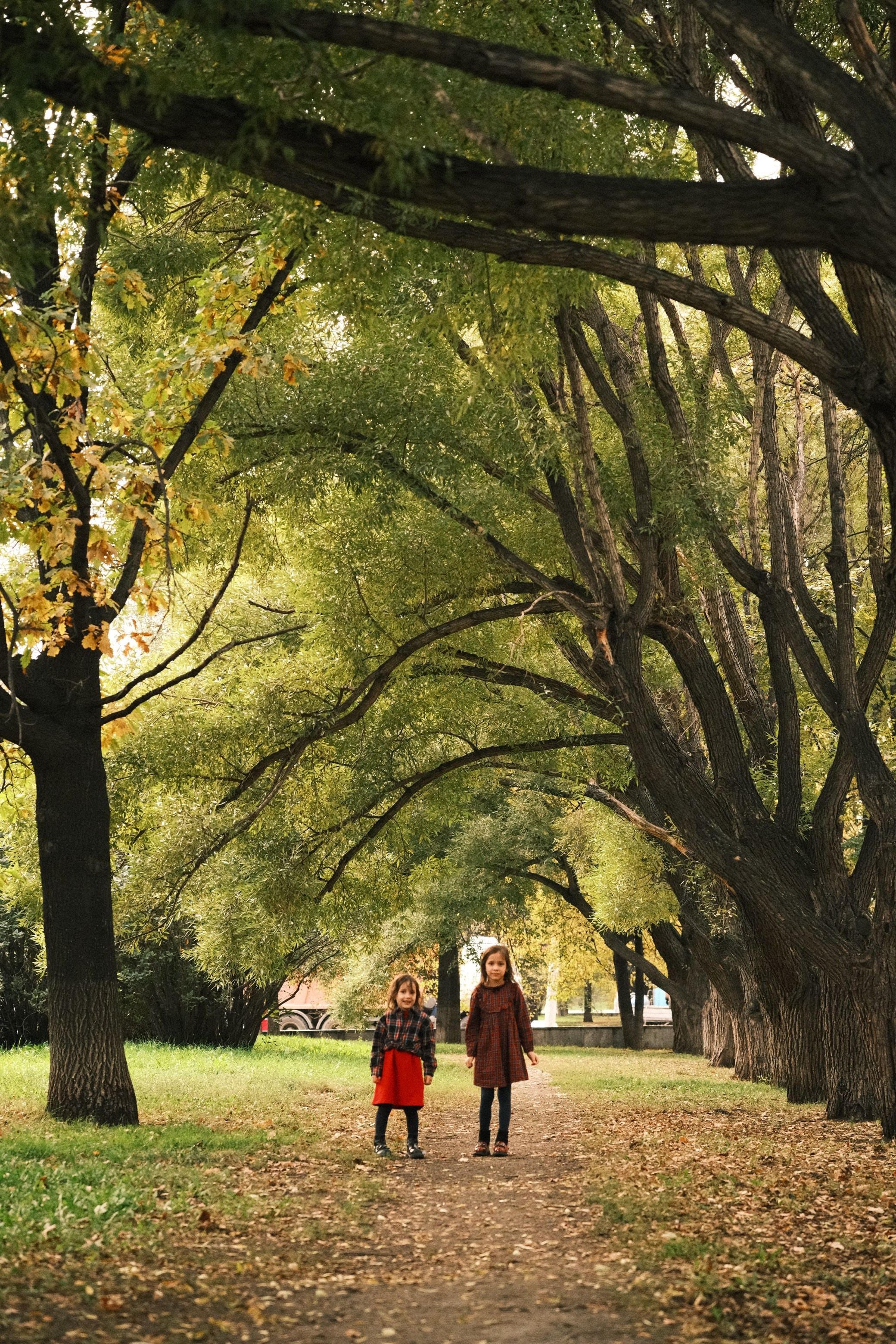 Алина. Свадебный, портретный и детский фотограф в Челябинске