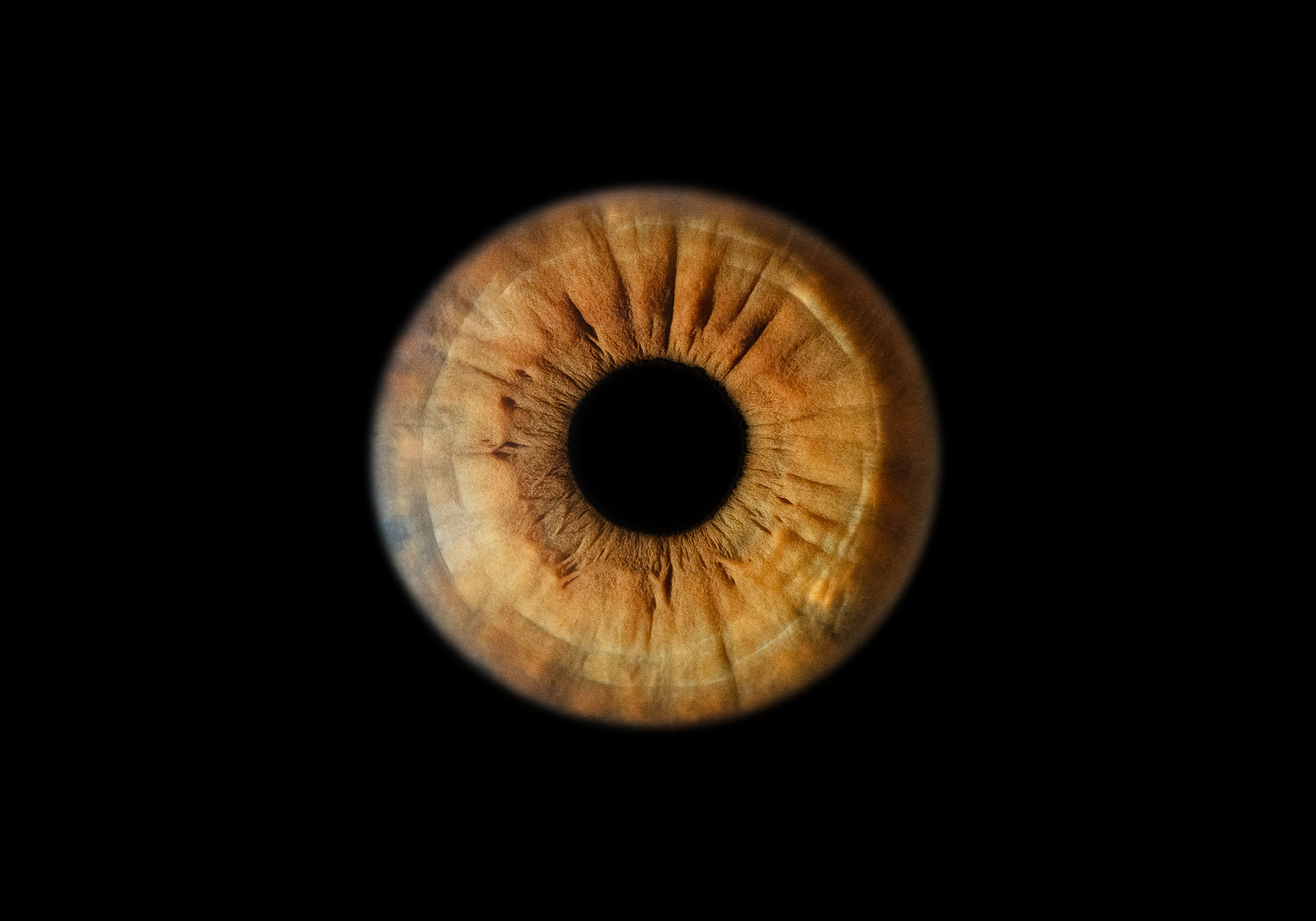 Фото радужки глаза в высоком разрешении и детализации. Крым, Севастополь. Ojo Art