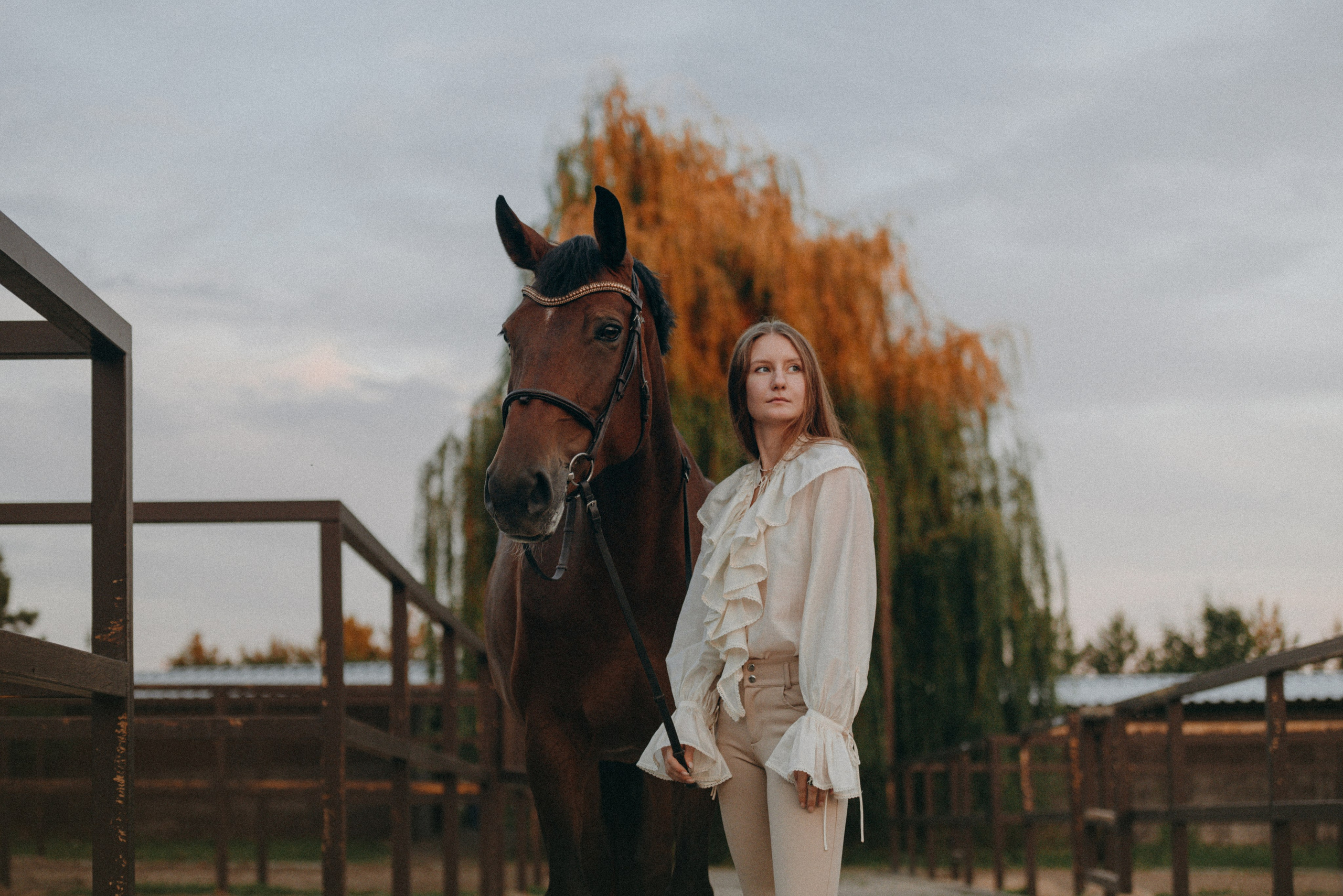 MariaGohri — Конный фотограф, анималист, Рязань