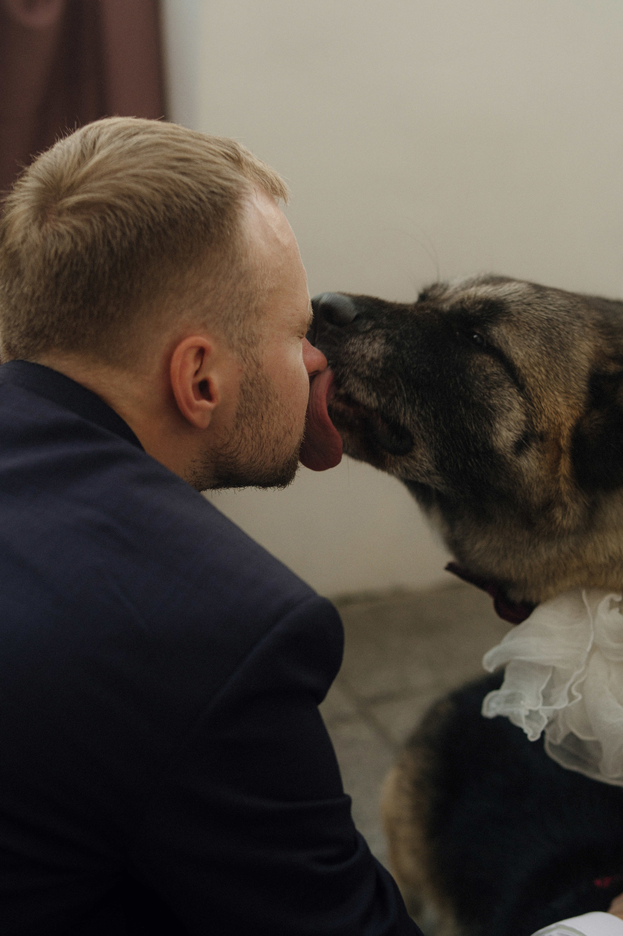 Love&Paws. Сентиментальная свадебная фотография