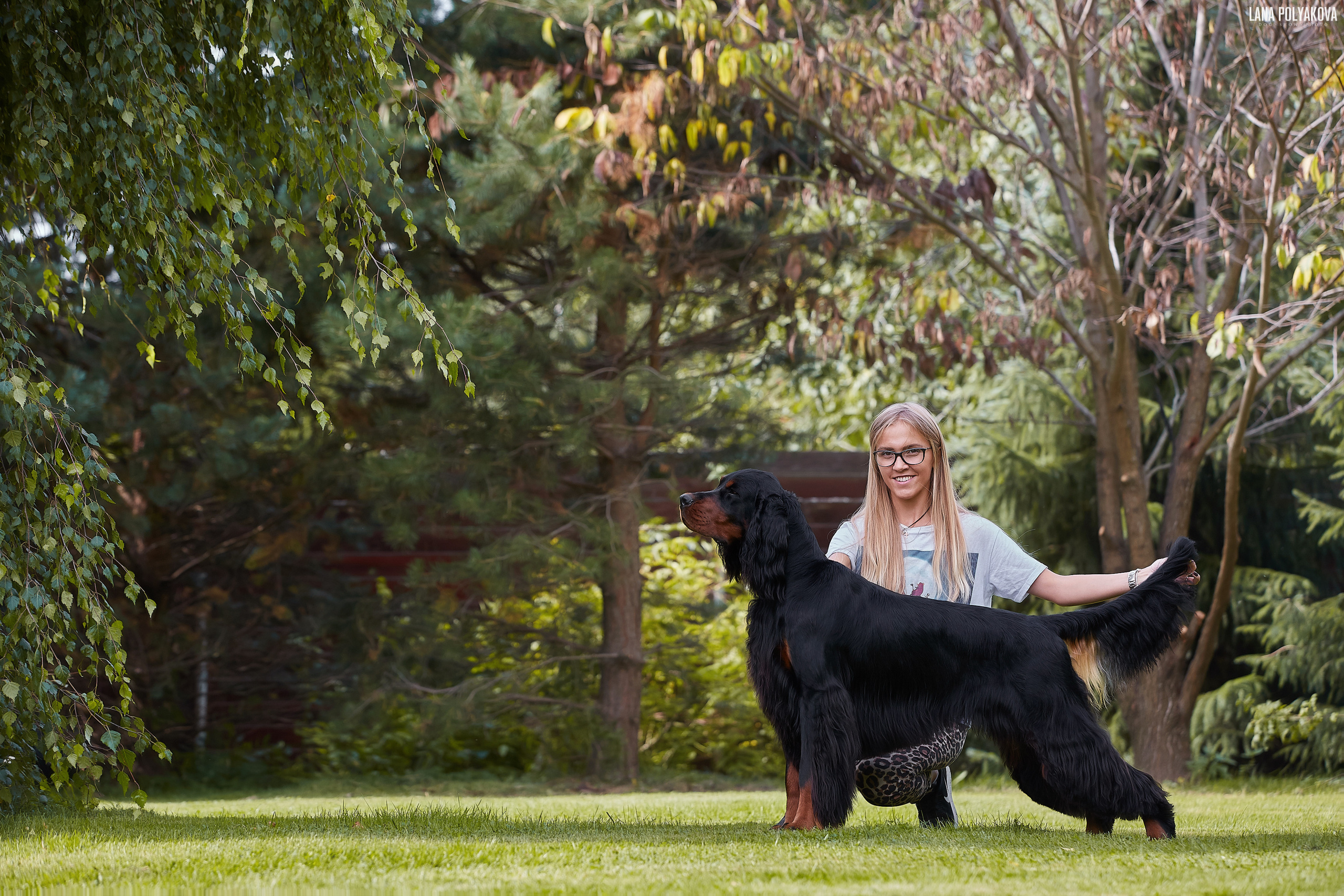 Фотосессии собак в Санкт-Петербурге. Сеттер гордон