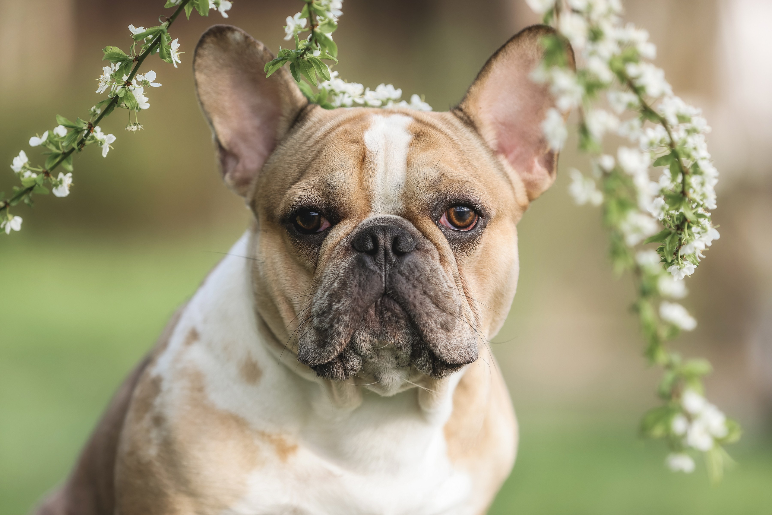 Фотограф Алена Звездина