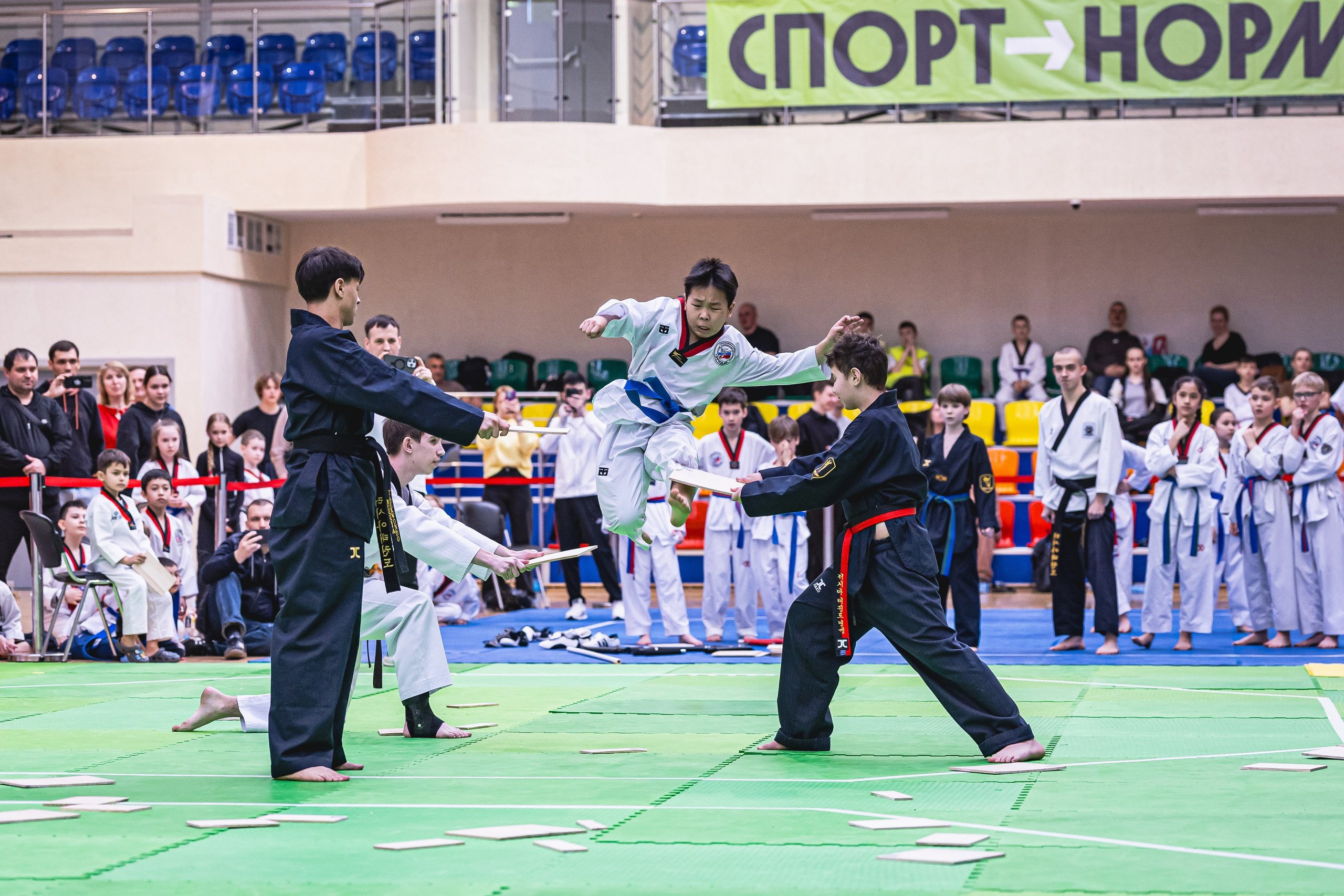 Турнир ВДЮФСОО «ФЕДЕРАЦИЯ ДЕТСКОГО ТХЭКВОНДО РОССИИ» и МОО СПКЕ «ЭРИДАН» по «СПОРТИВНОМУ БОЮ КЕРУГИ». Спортивный фотограф Максим Серегин