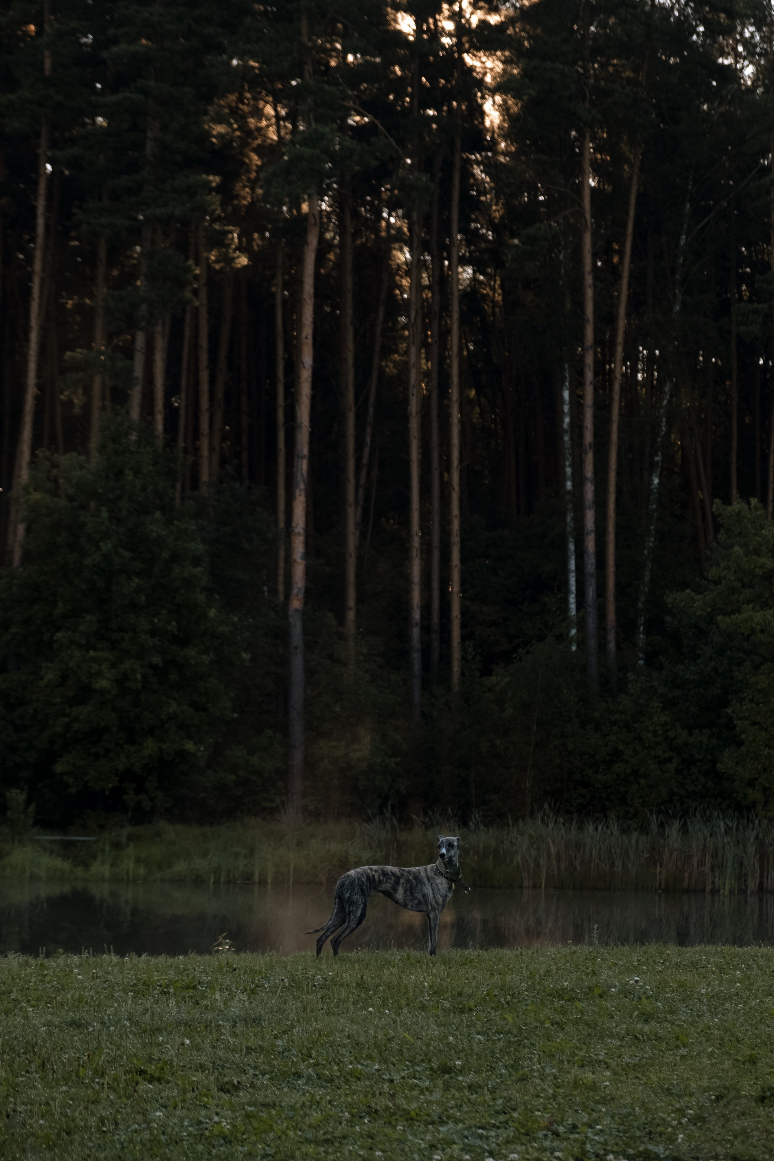 Nataresso | фотограф Москва