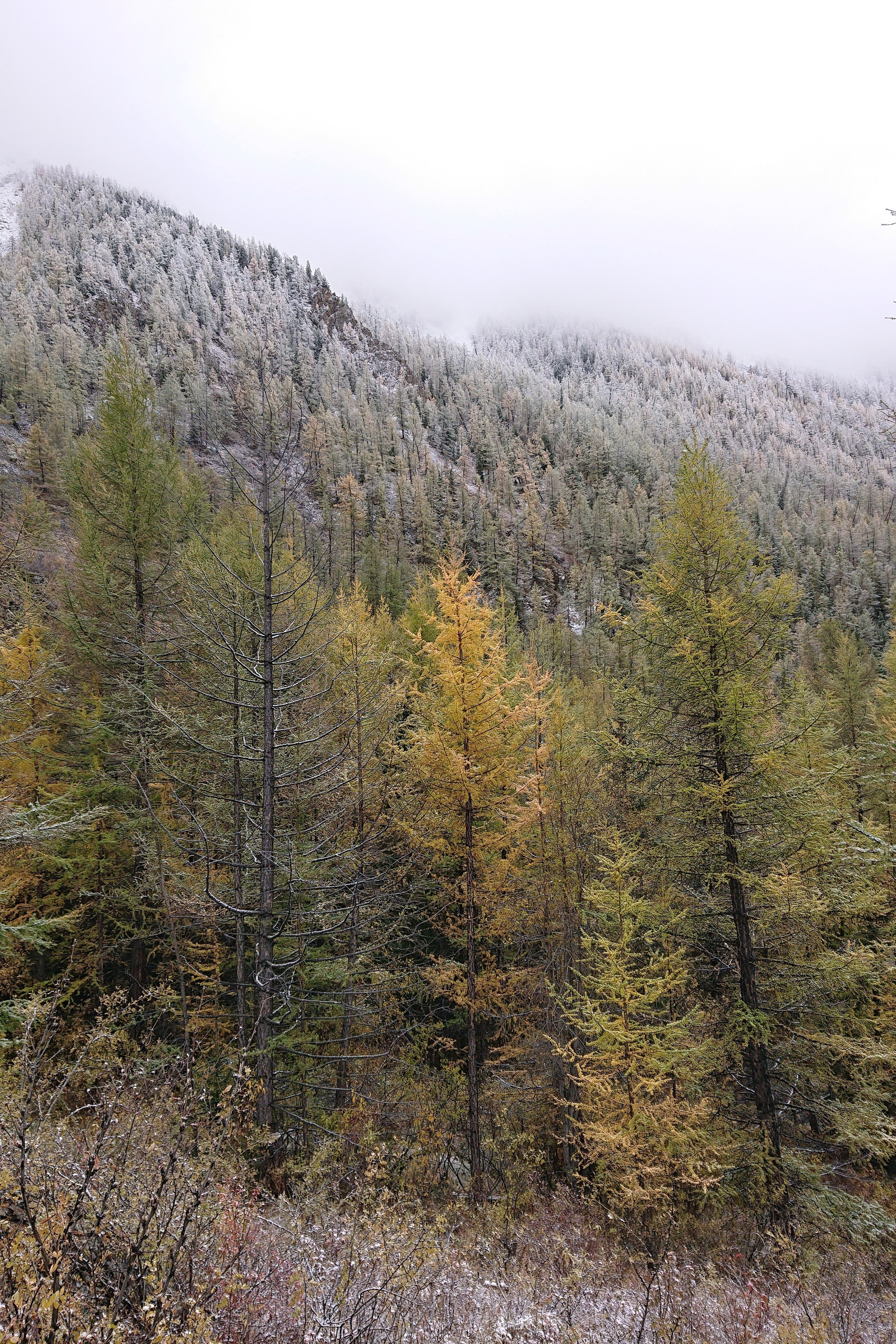 Это не фотошоп. Я видел это в горах Алтая. Семоха Валерий. Фотограф