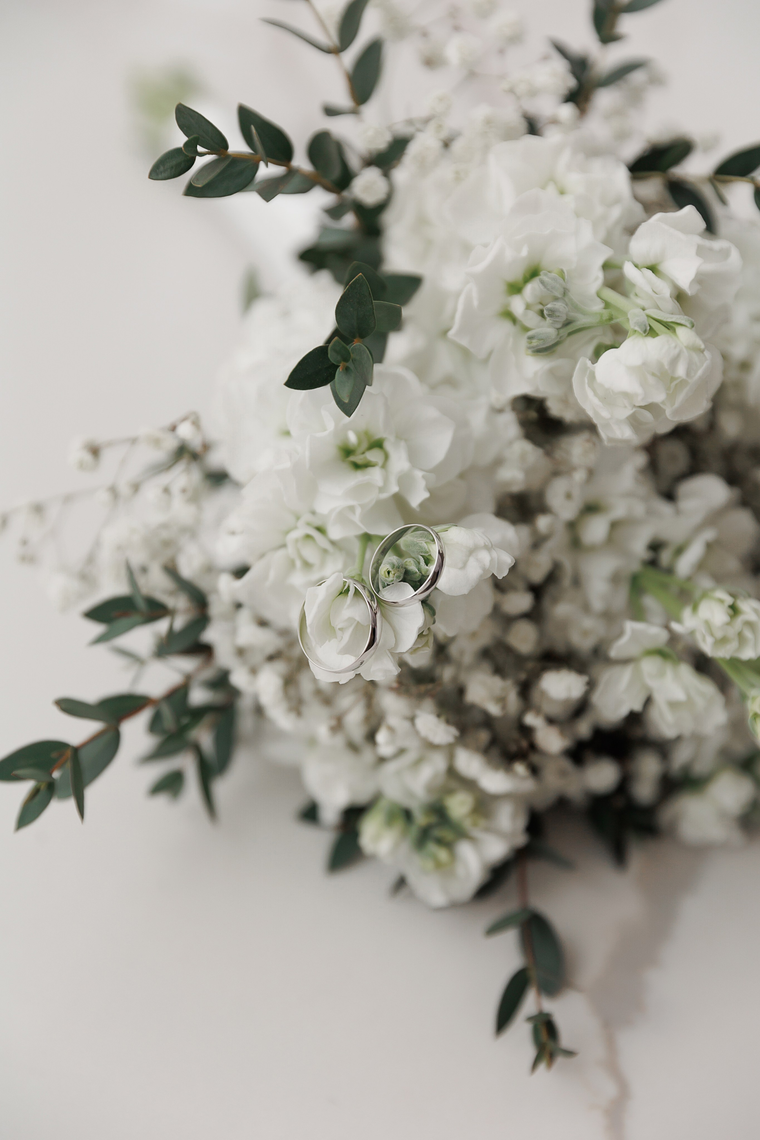 Фотограф на свадьбу в Твери и Тверской области. Свадебный и семейный фотограф в Твери и Тверской области