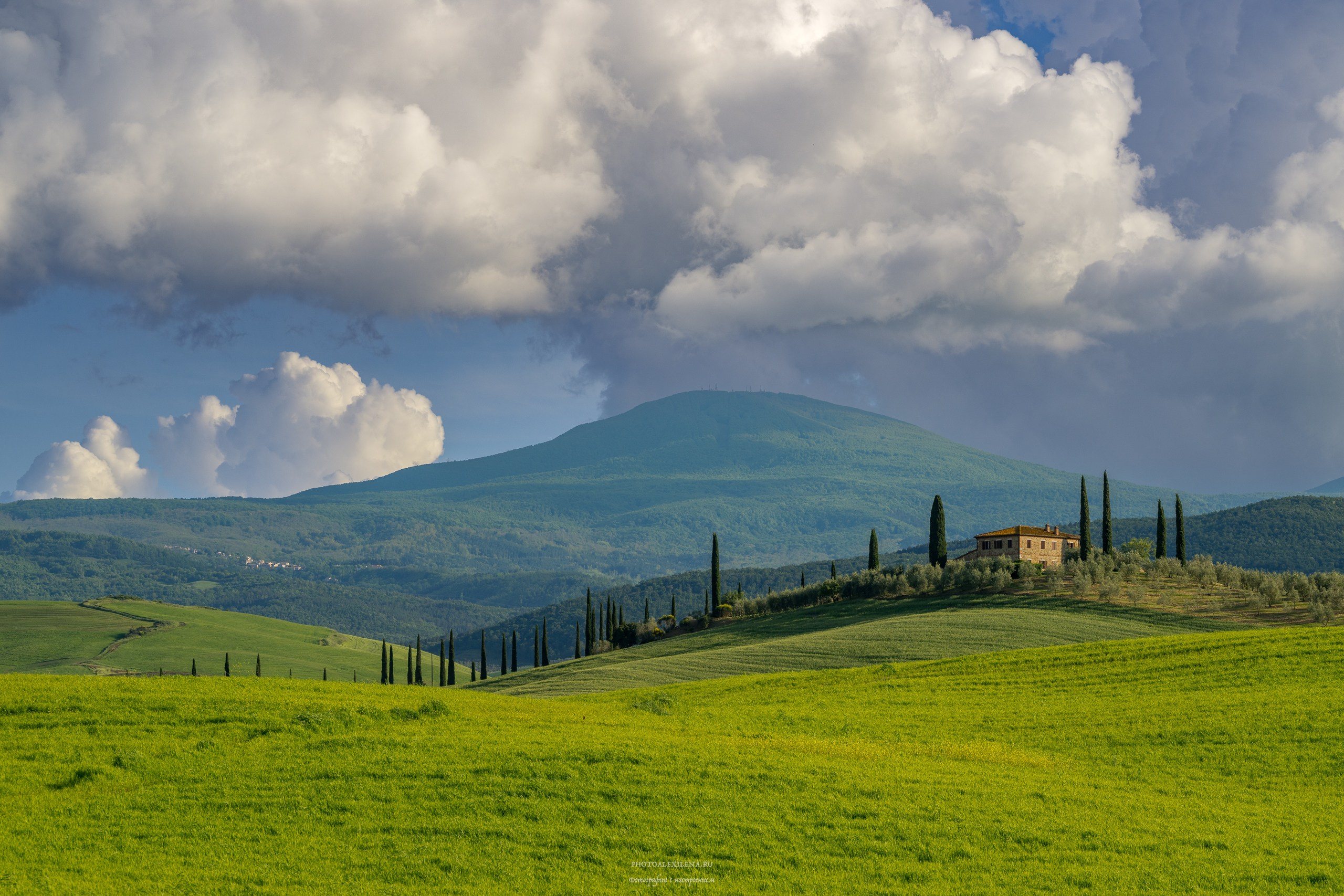 Путешествие сквозь красоту и вдохновение. Авторские стильные фотокартины