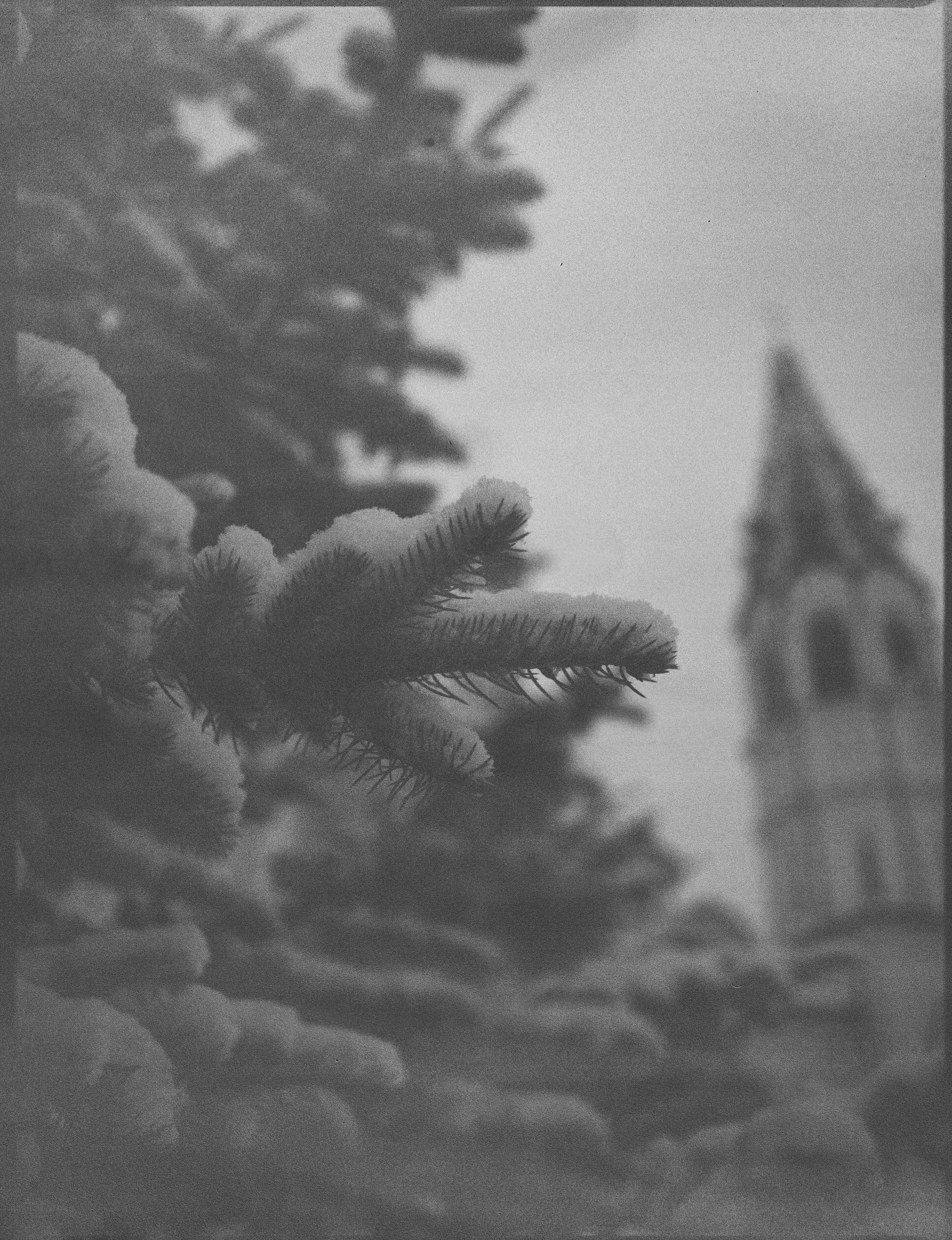 Mamiya 645 PRO — Mamiya-Sekor C 45 mm f/2.8