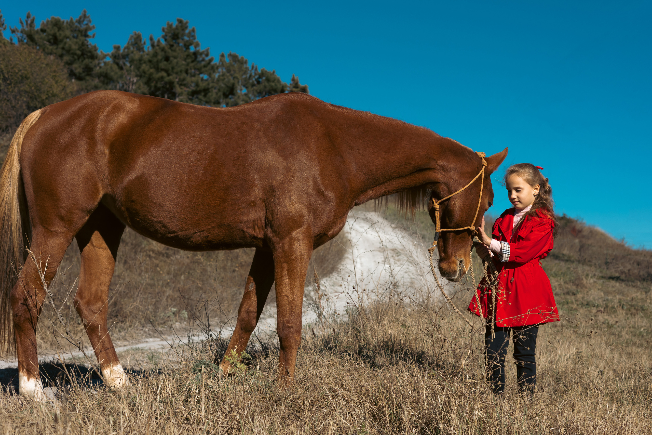 Ваш фотограф в Крыму | Соболевская Анастасия