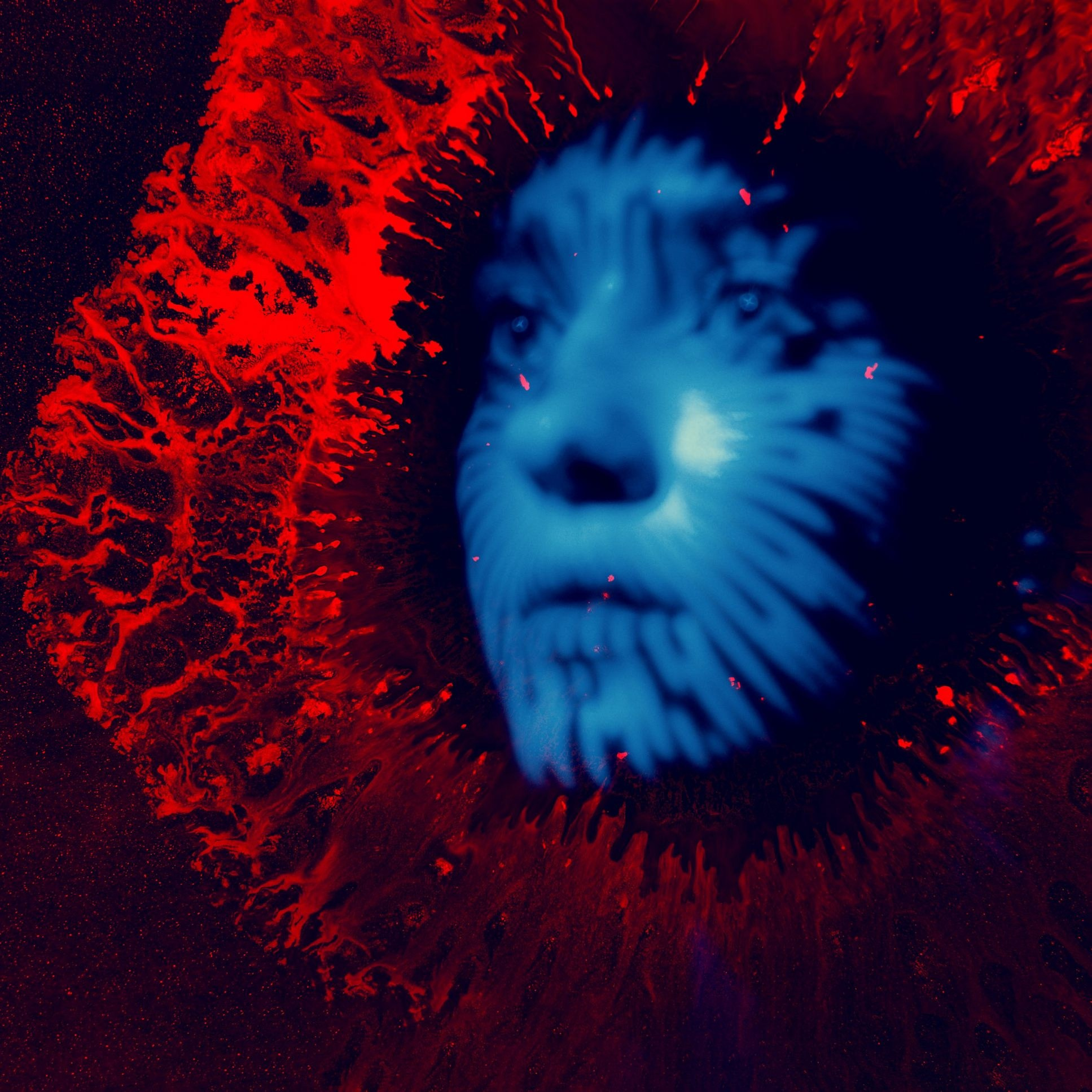 PAST LIVES. Eduard Kopysov — International visual artist