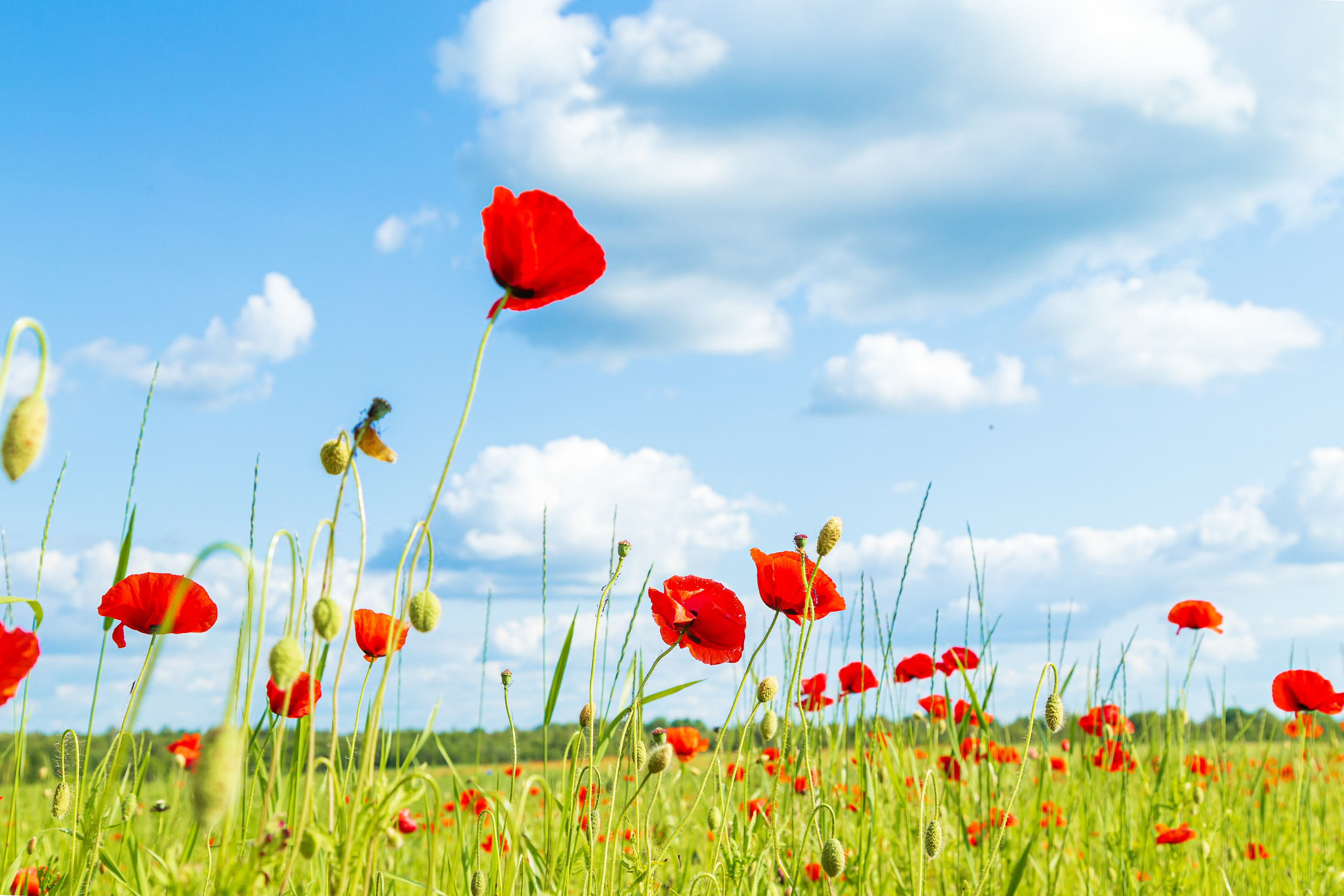 Тревел-фотограф Елизавета Ларионова