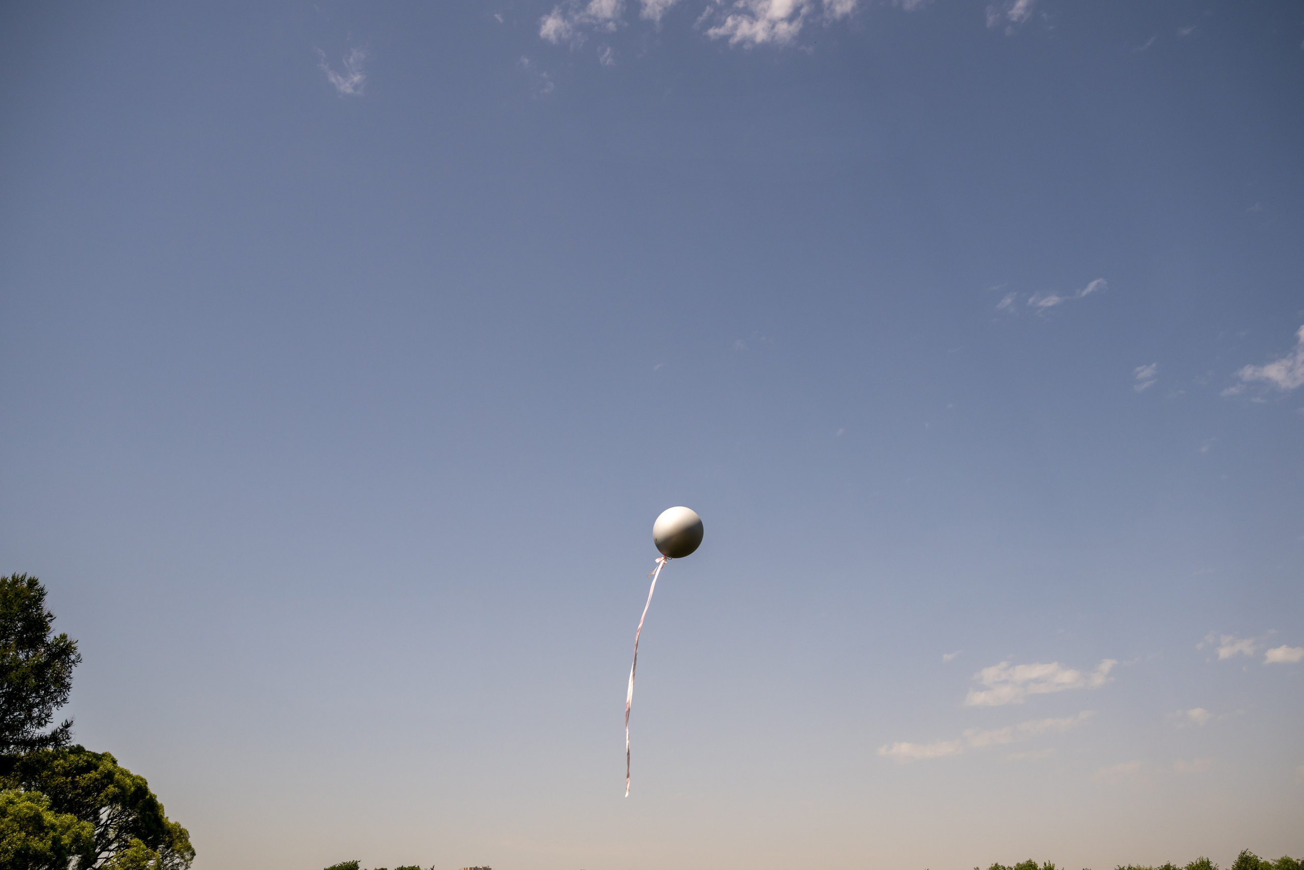 Tenderness. Свадебный и семейный Фотограф в Москве Александр Березин