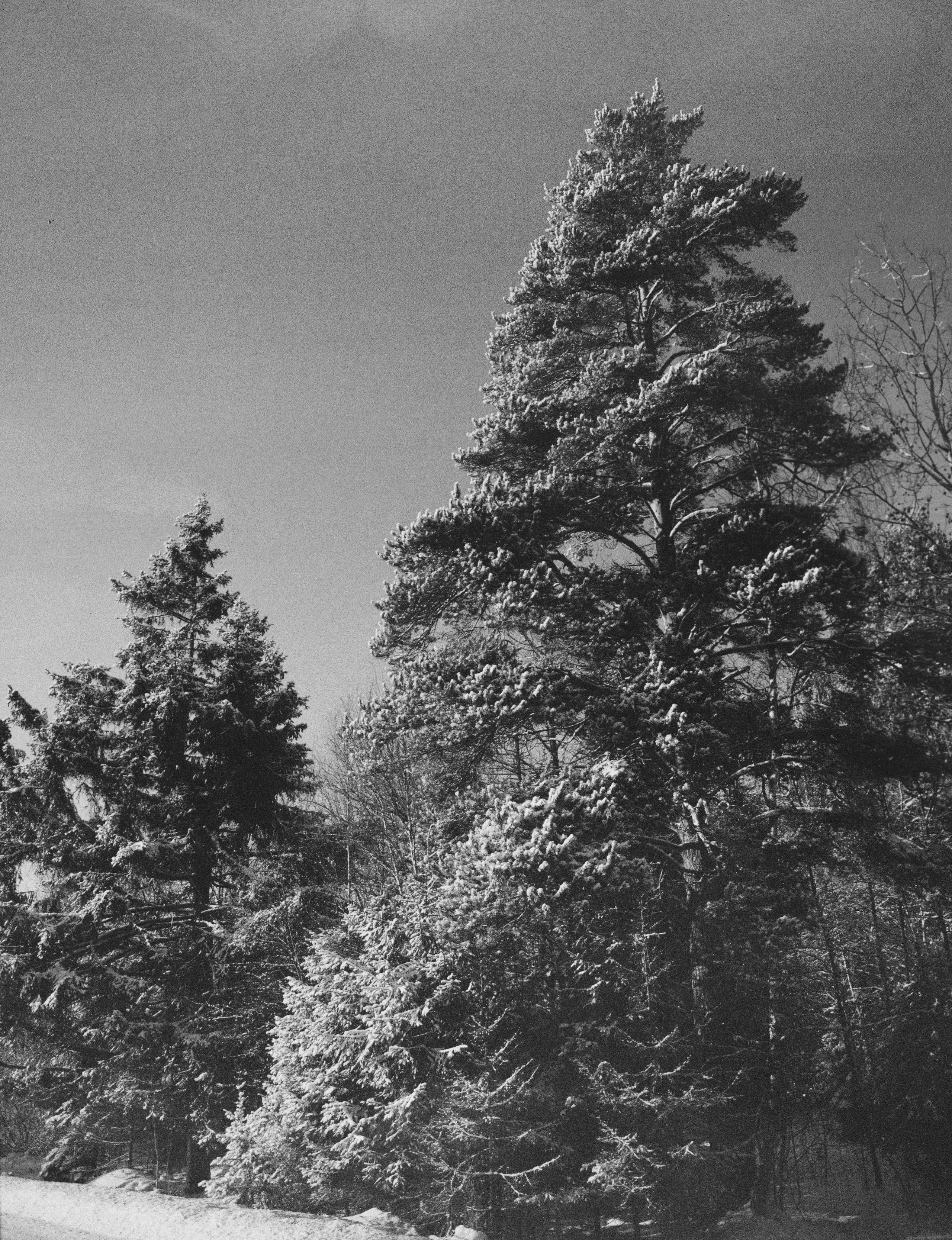 Mamiya 645 PRO — Mamiya-Sekor C 45 mm f/2.8