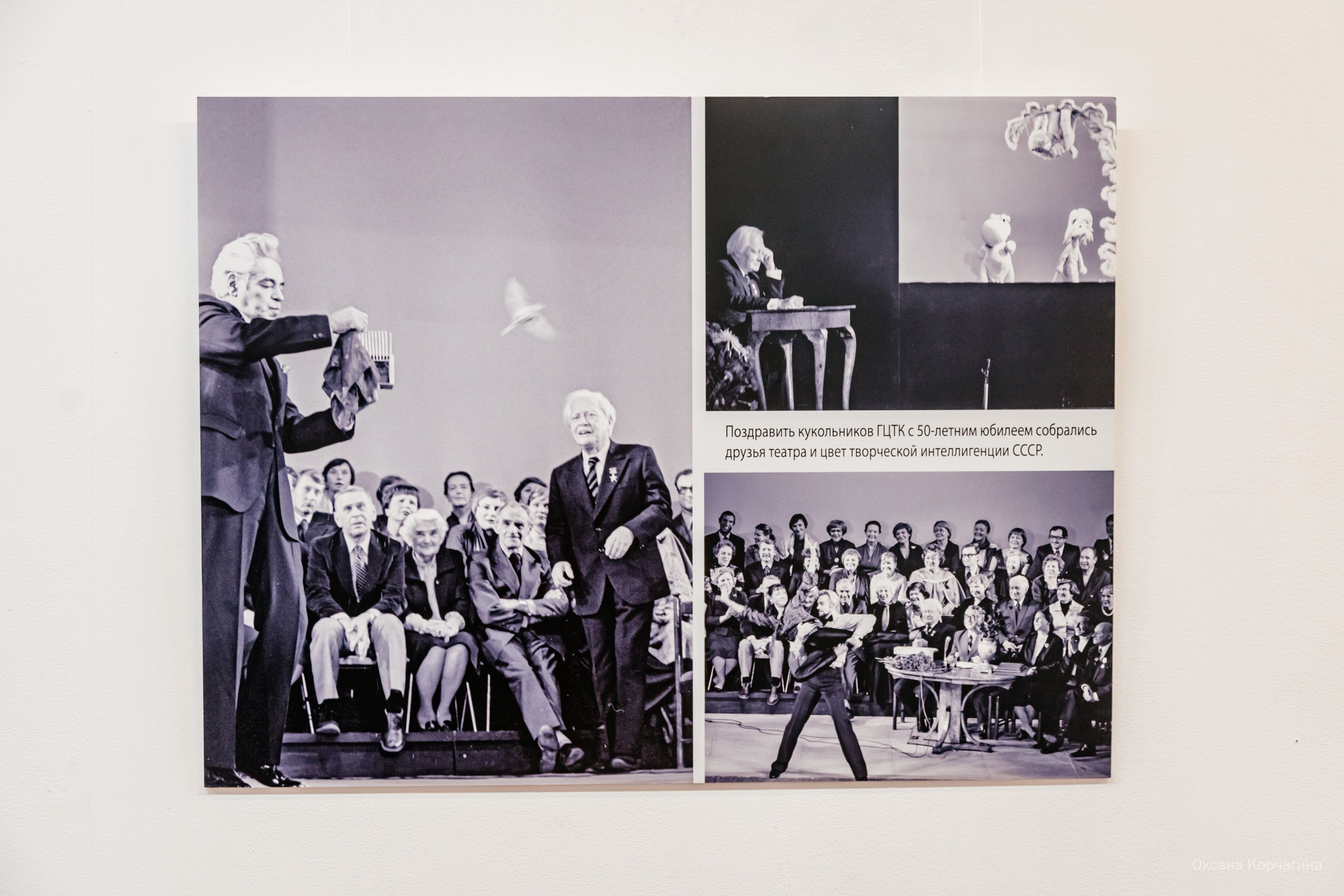 С куклами вокруг света. Фотограф в Красноярске Оксана Корчагина