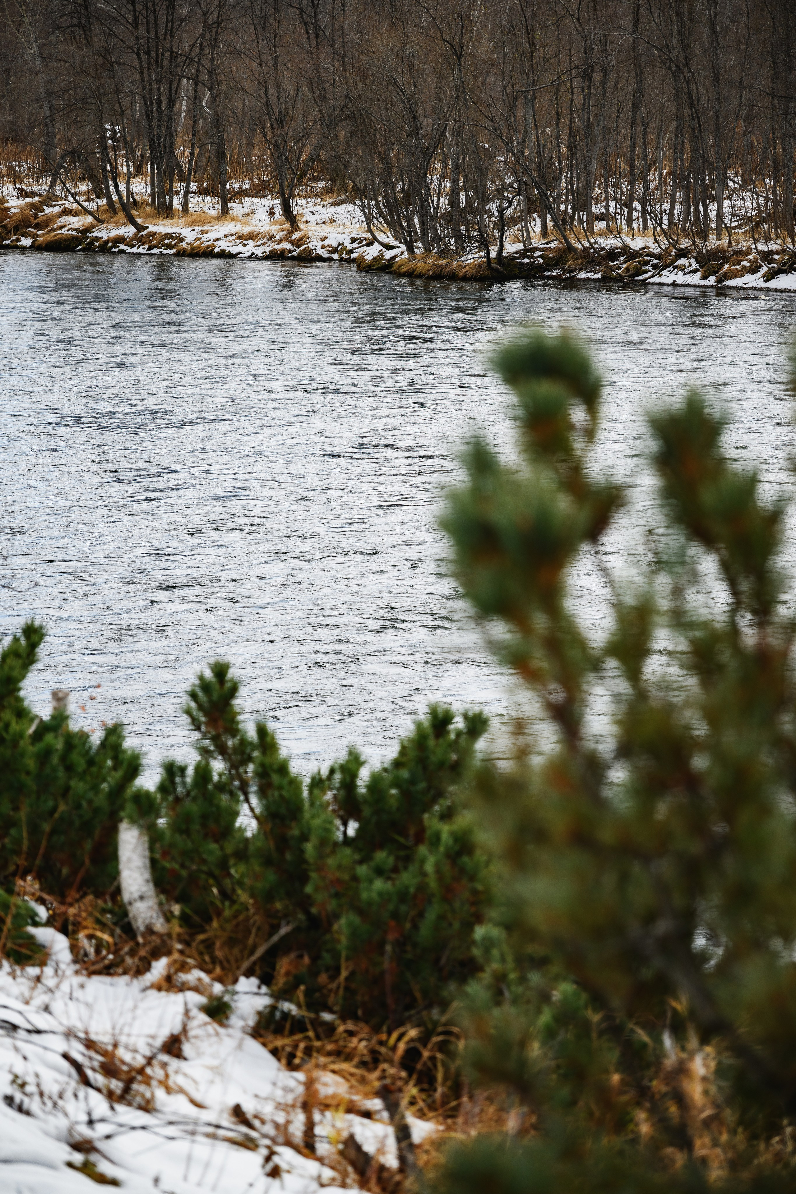 Фотосъемка базы отдыха в Петропавловске-Камчатском, Профессиональная съемка интерьеров в Петропавловске-Камчатском, Съемка природы Камчатки для базы отдыха в Петропавловске-Камчатском, Красивые фото территории базы отдыха в Петропавловске-Камчатском, Заказать фотосъемку базы отдыха в Петропавловске-Камчатском.