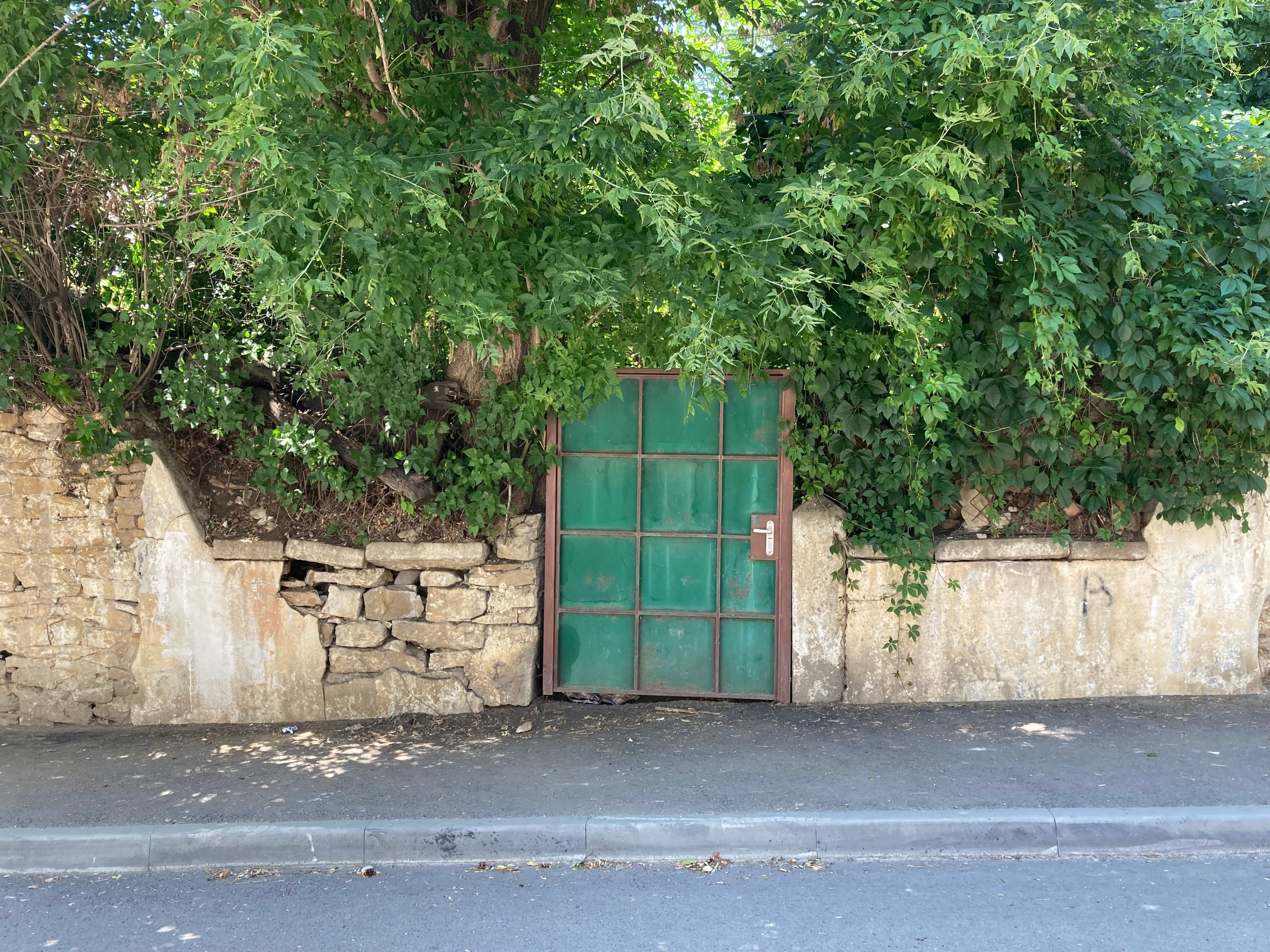 Кисловодск. Смотри, красота!