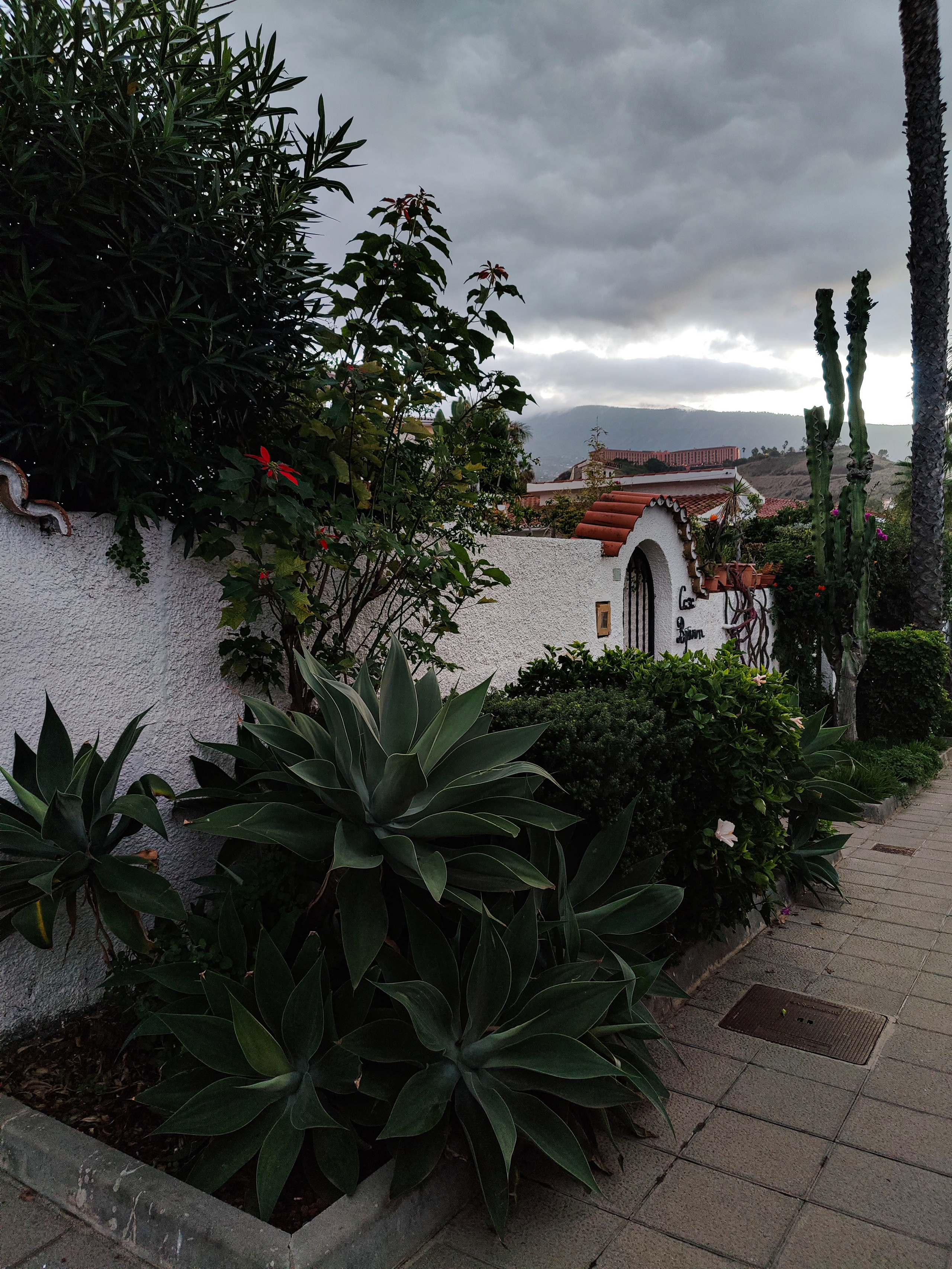 Tenerife. Фотограф и видеограф в Израиле Соня Скай