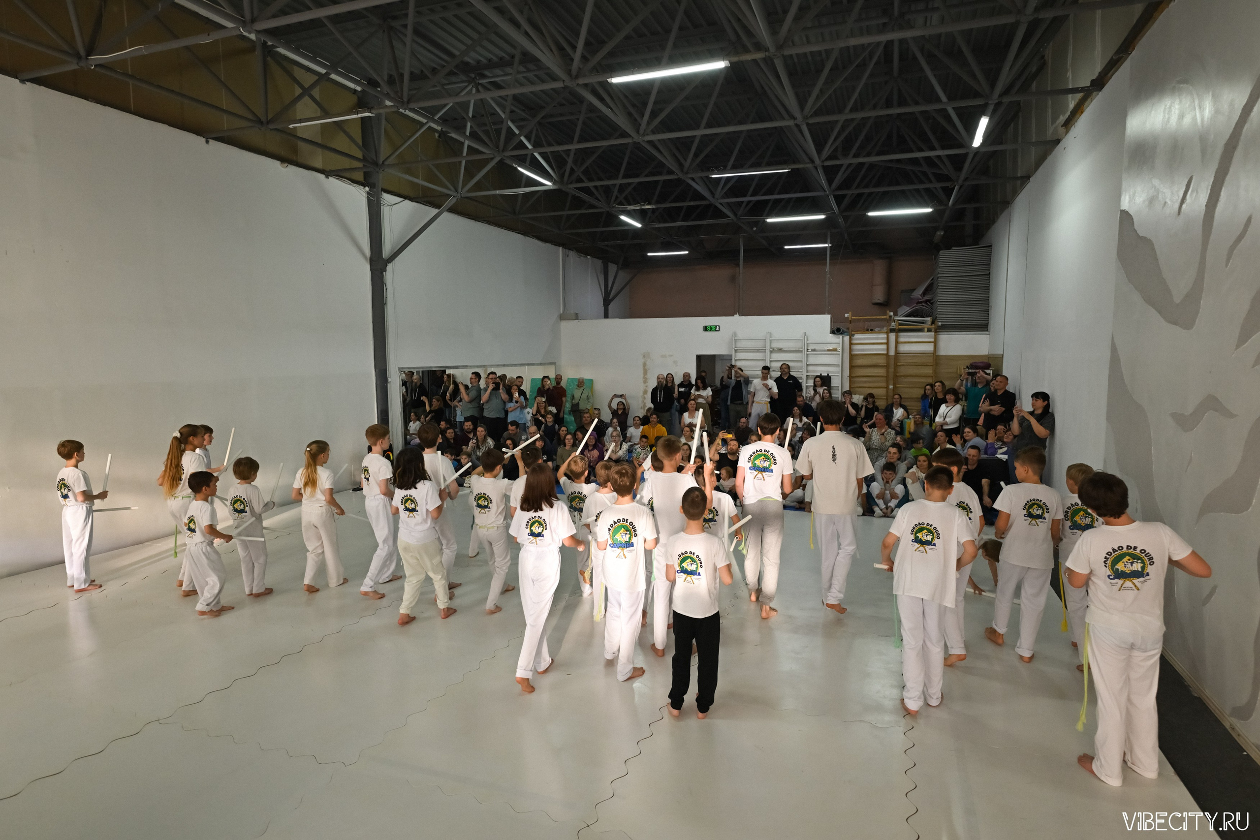 Capoeira: 4-е batizado e Troca de cordao. VIBECITY.RU Вайб Сити Ру Фоторепортажи Фотоотчеты Калининград