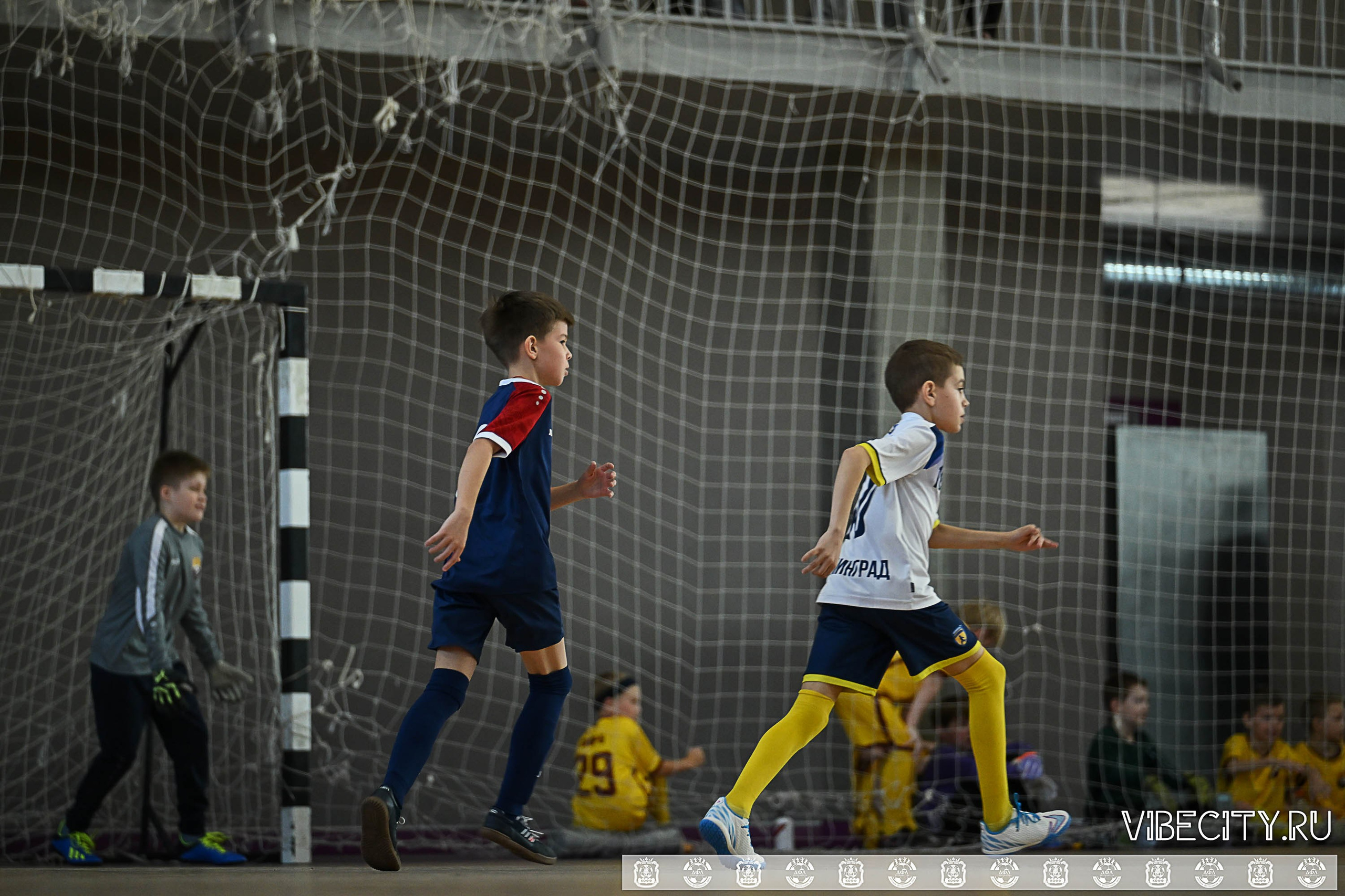 БАЛТИЙСКАЯ ЛИГА ПО ФУТЗАЛУ U10. VIBECITY.RU Вайб Сити Ру Фоторепортажи Фотоотчеты Калининград