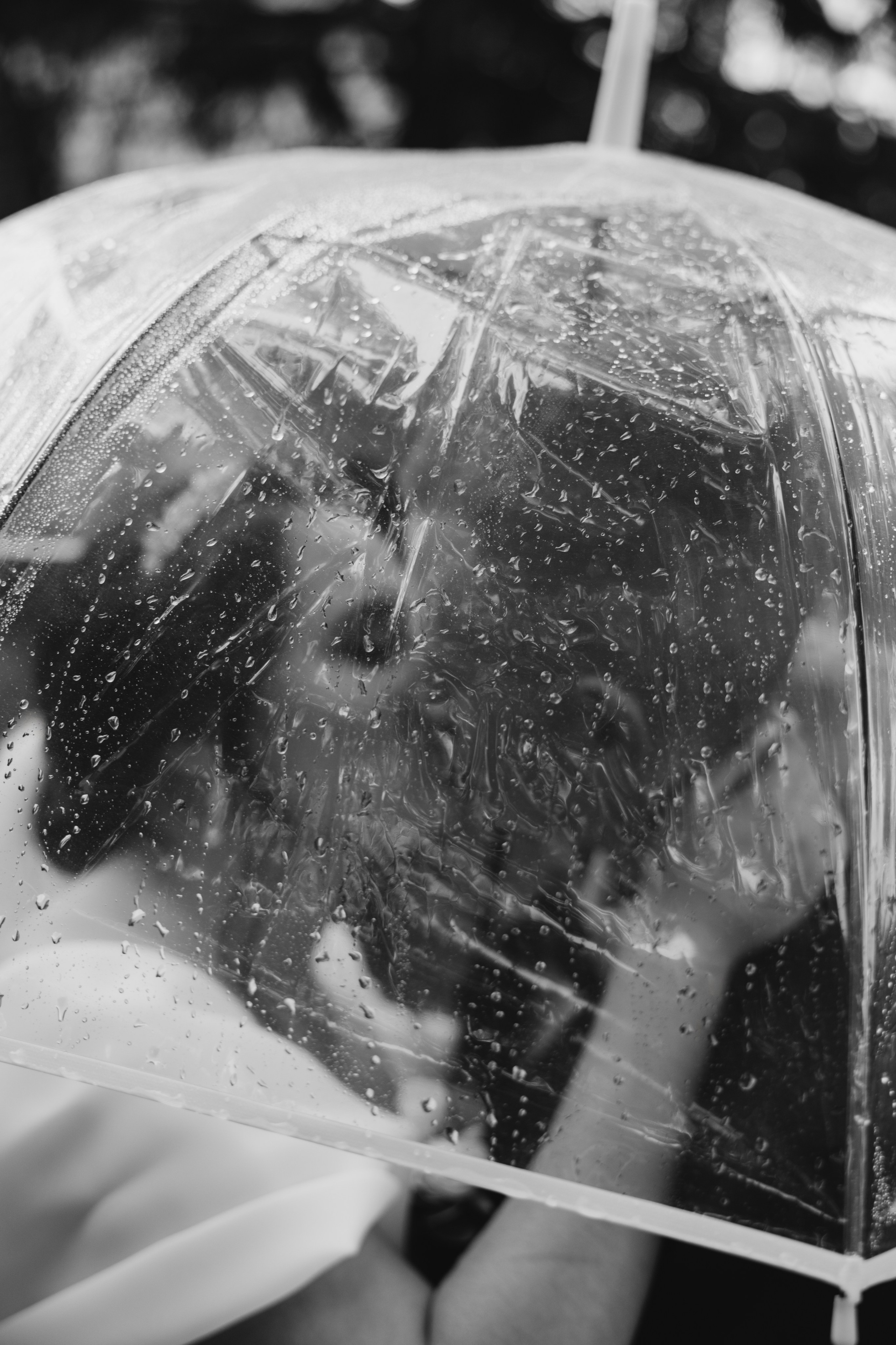 Дмитрий и Тамара. Свадебный, семейный фотограф в Иркутске Светлана Макаричева