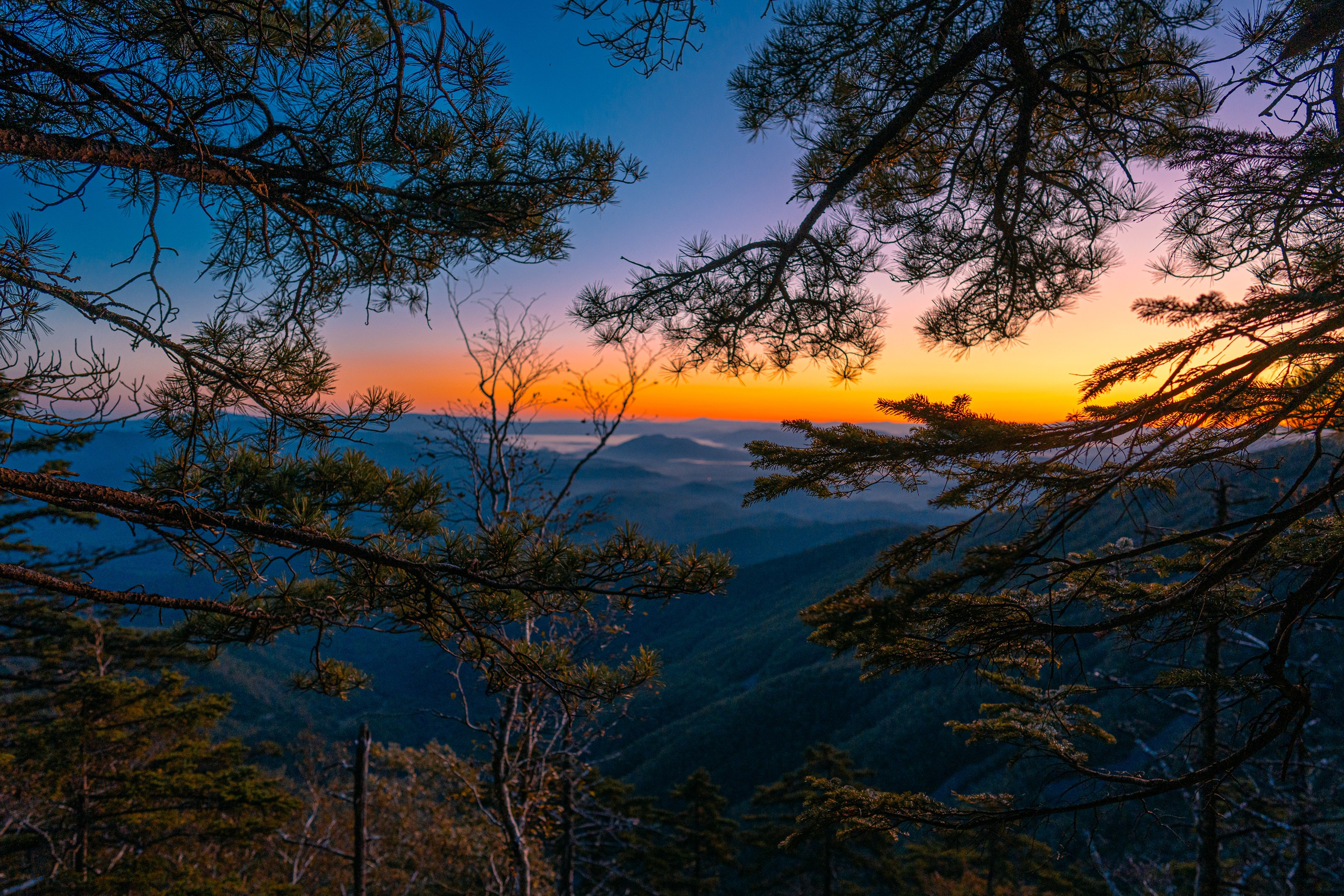 Гора Литовка (Фалаза). Иван Зайцев (IZIART) — создание культурного кода через фото и видео