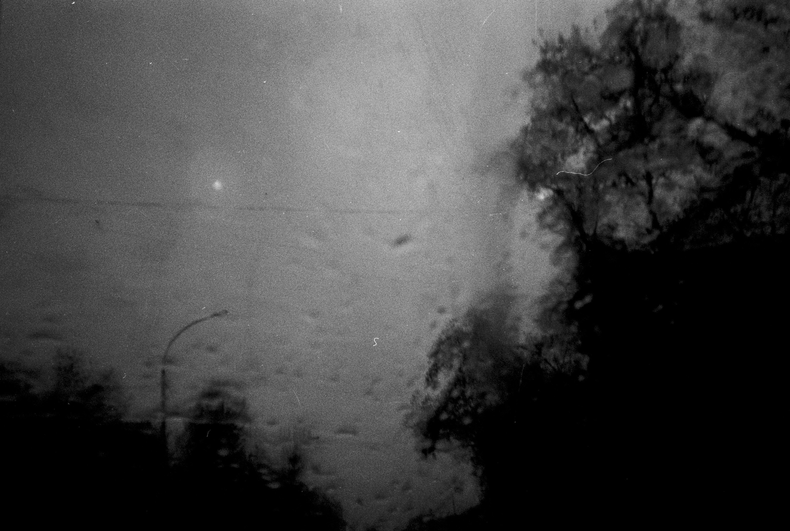 Осенние нуары. Контент-креатор Паша Норицын